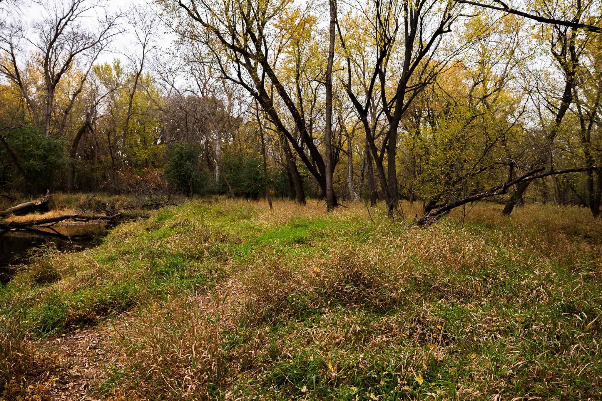 View of Land at TBD 47th St SE, Saint Cloud MN 56304, Saint Cloud (56 of 106) - Mike Wilen | Minnesota Team Real Estate