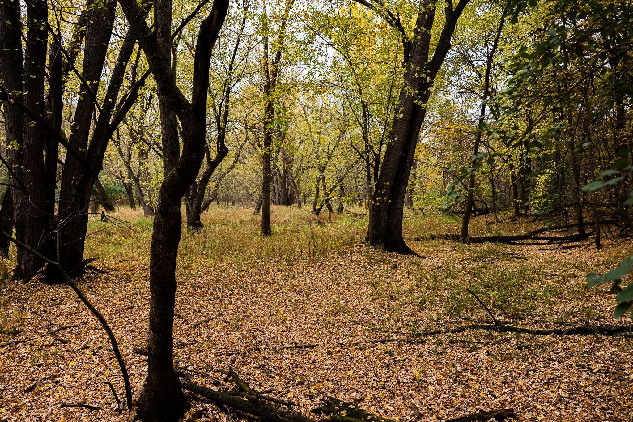 View of Land at TBD 47th St SE, Saint Cloud MN 56304, Saint Cloud (69 of 106) - Mike Wilen | Minnesota Team Real Estate