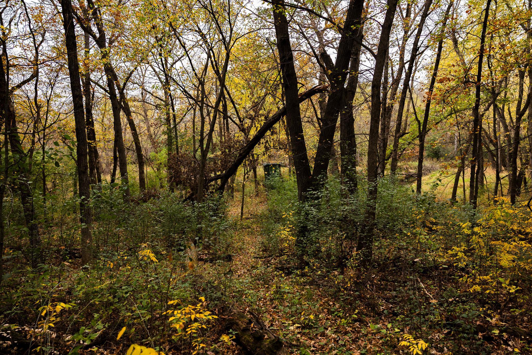 View of Land at TBD 47th St SE, Saint Cloud MN 56304, Saint Cloud (68 of 106) - Mike Wilen | Minnesota Team Real Estate