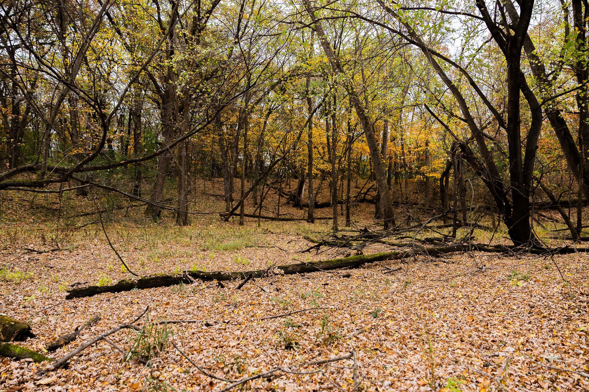 View of Land at TBD 47th St SE, Saint Cloud MN 56304, Saint Cloud (70 of 106) - Mike Wilen | Minnesota Team Real Estate
