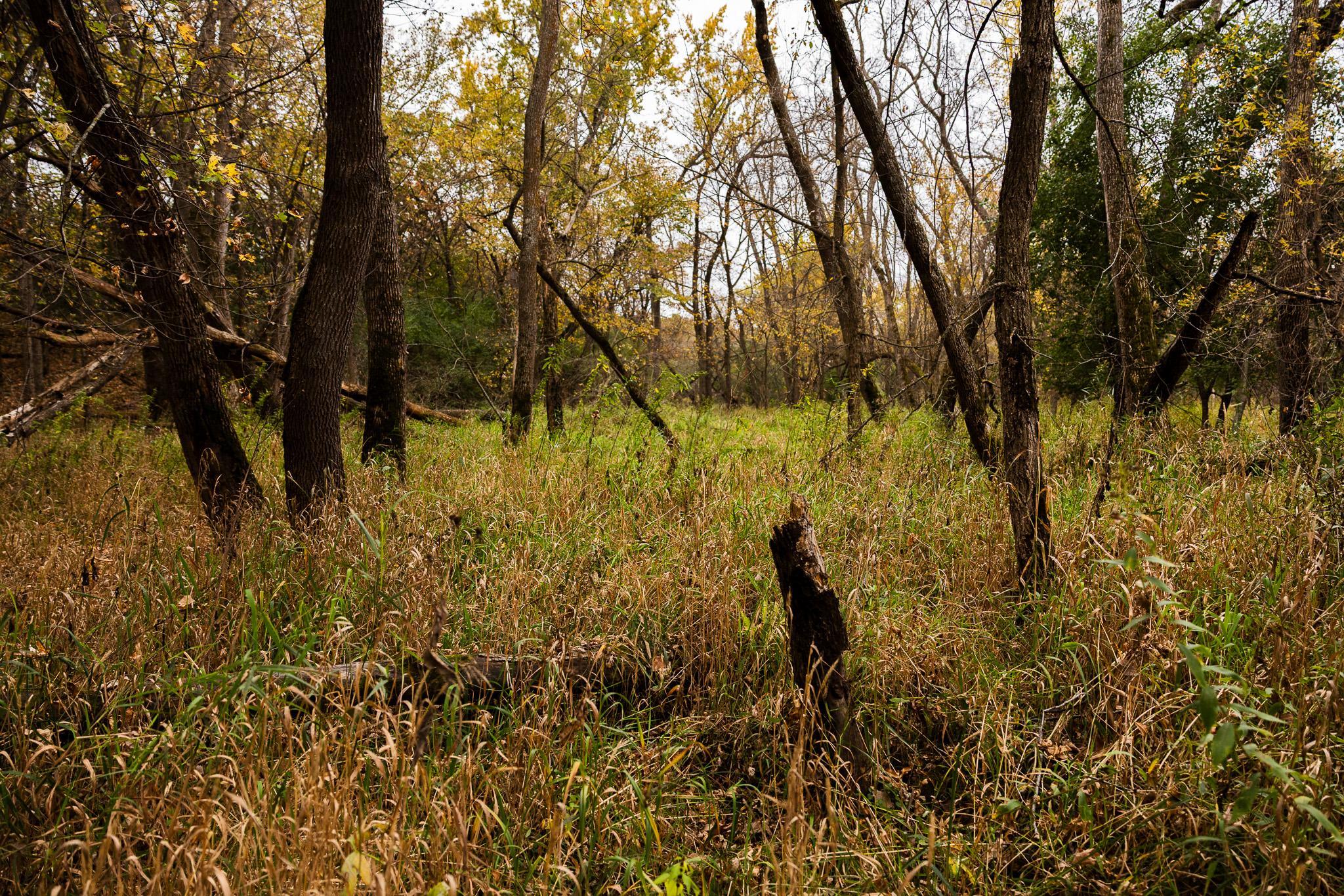 View of Land at TBD 47th St SE, Saint Cloud MN 56304, Saint Cloud (55 of 106) - Mike Wilen | Minnesota Team Real Estate