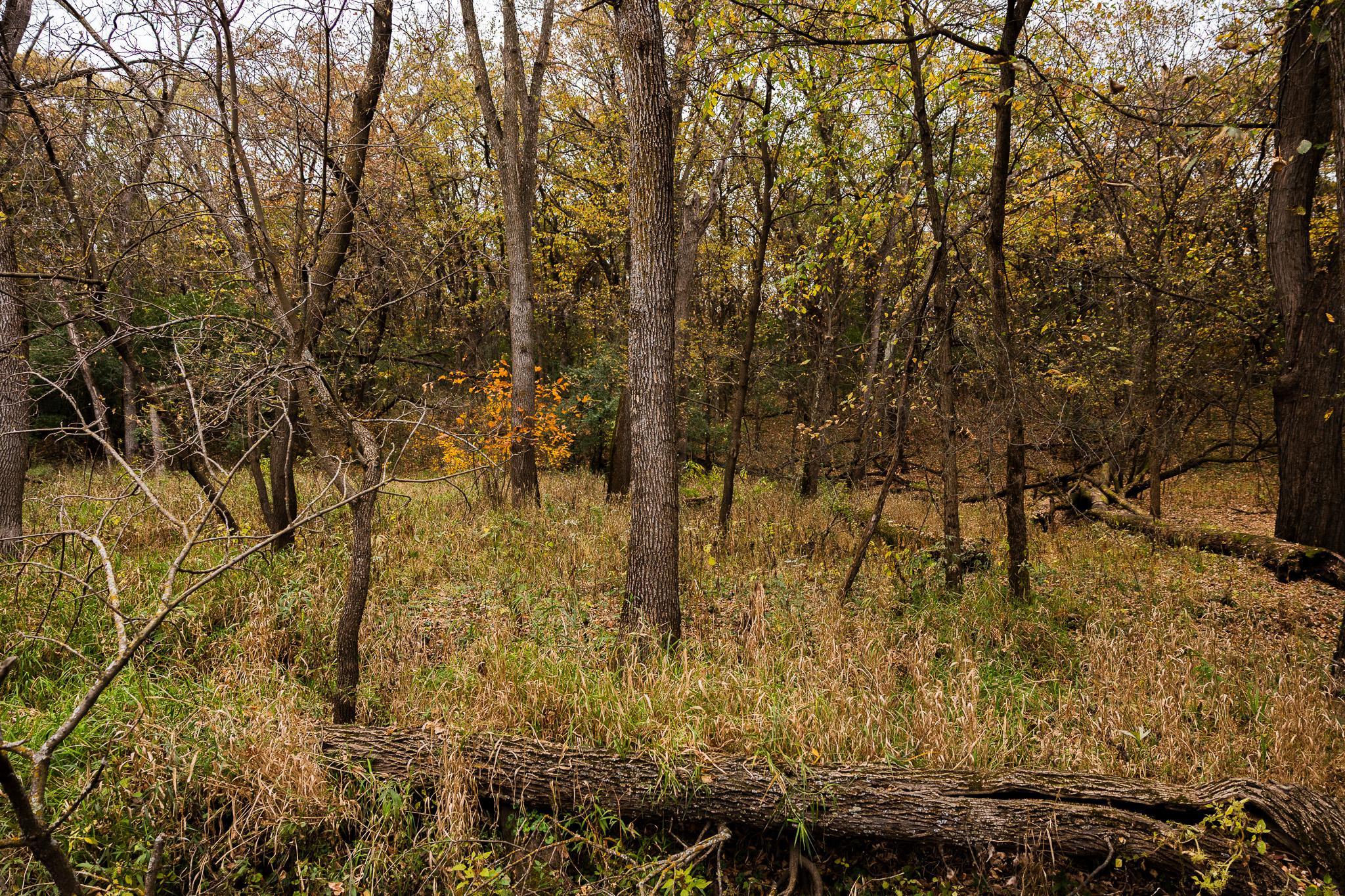 View of Land at TBD 47th St SE, Saint Cloud MN 56304, Saint Cloud (71 of 106) - Mike Wilen | Minnesota Team Real Estate