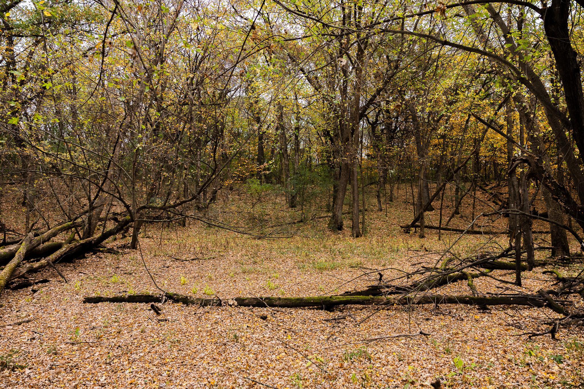 View of Land at TBD 47th St SE, Saint Cloud MN 56304, Saint Cloud (89 of 106) - Mike Wilen | Minnesota Team Real Estate