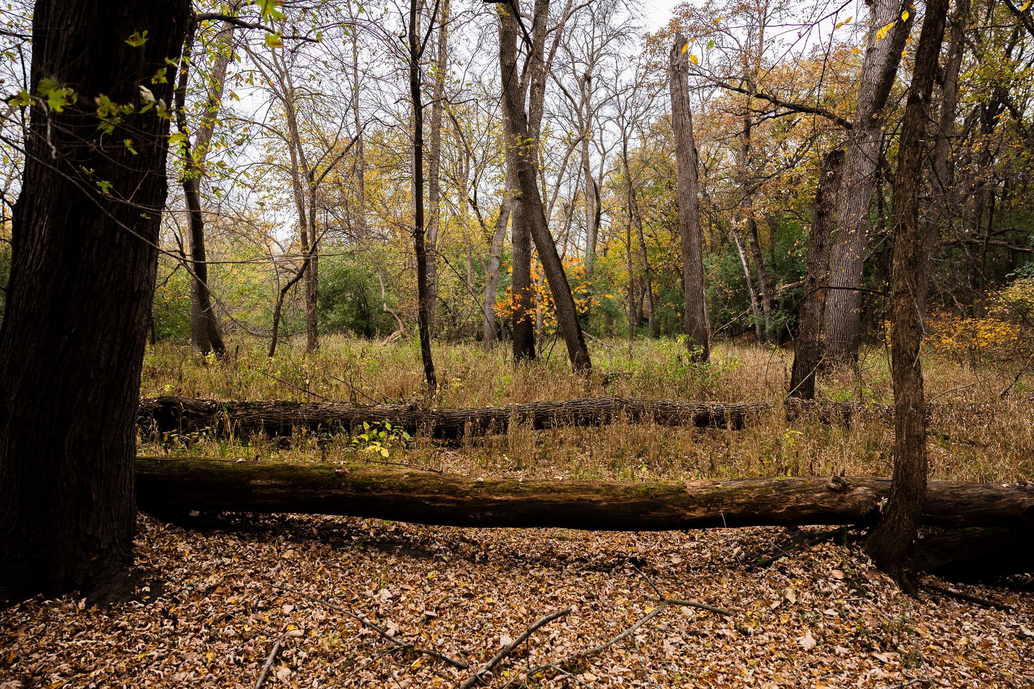 View of Land at TBD 47th St SE, Saint Cloud MN 56304, Saint Cloud (32 of 106) - Mike Wilen | Minnesota Team Real Estate