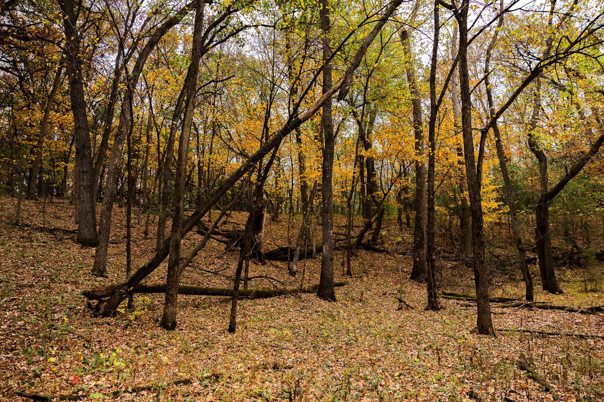 View of Land at TBD 47th St SE, Saint Cloud MN 56304, Saint Cloud (77 of 106) - Mike Wilen | Minnesota Team Real Estate