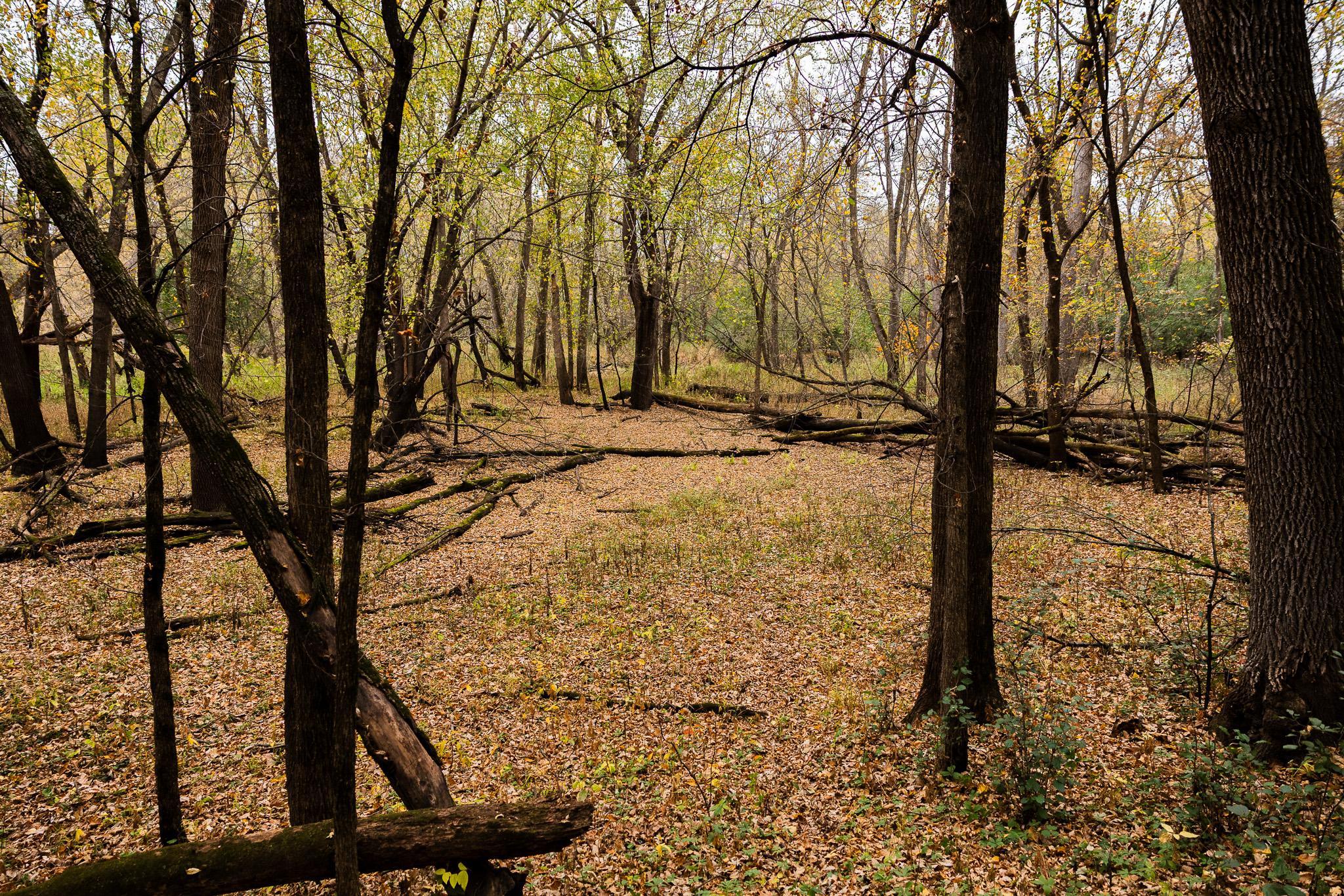 View of Land at TBD 47th St SE, Saint Cloud MN 56304, Saint Cloud (76 of 106) - Mike Wilen | Minnesota Team Real Estate