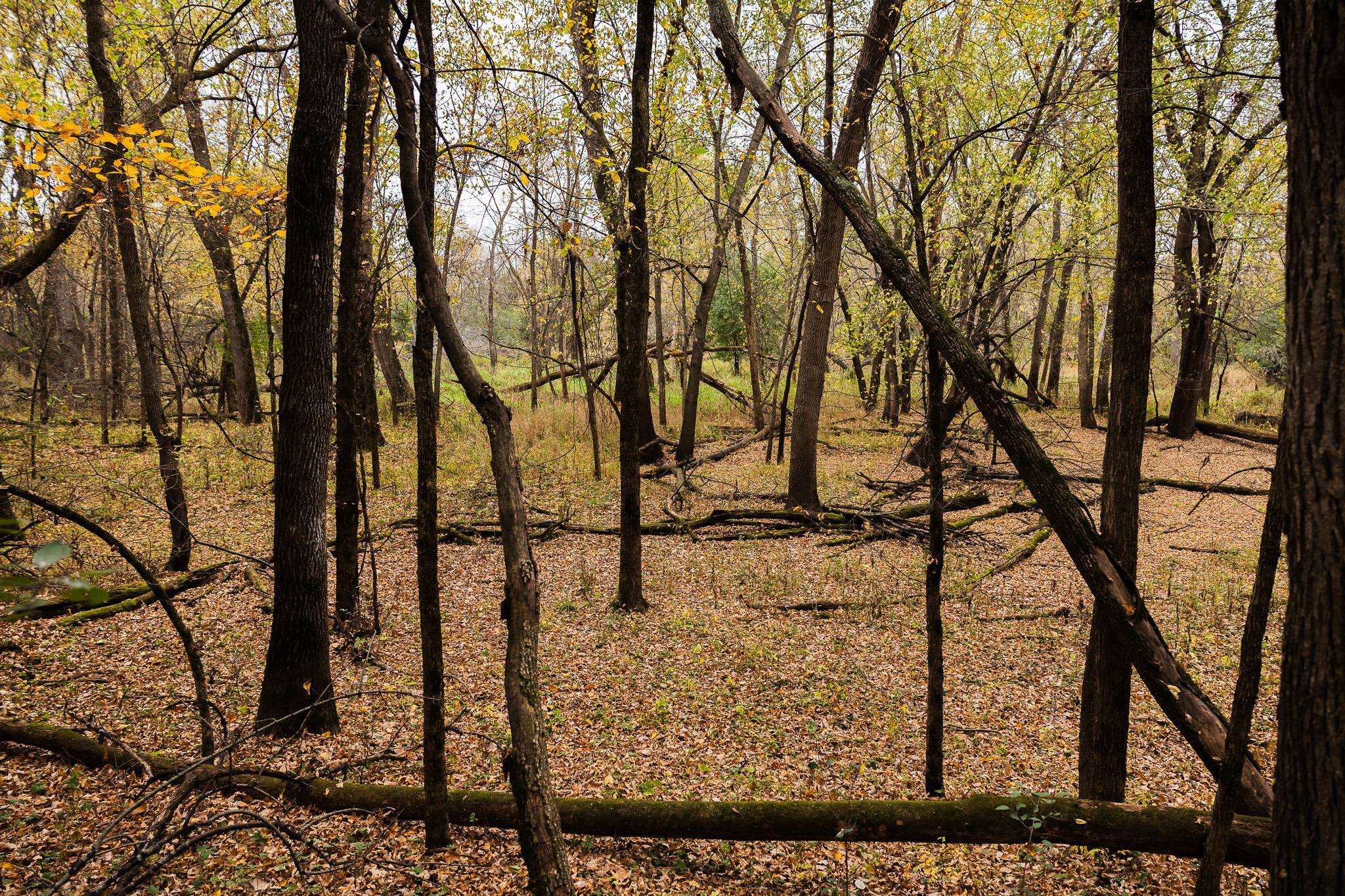 View of Land at TBD 47th St SE, Saint Cloud MN 56304, Saint Cloud (31 of 106) - Mike Wilen | Minnesota Team Real Estate