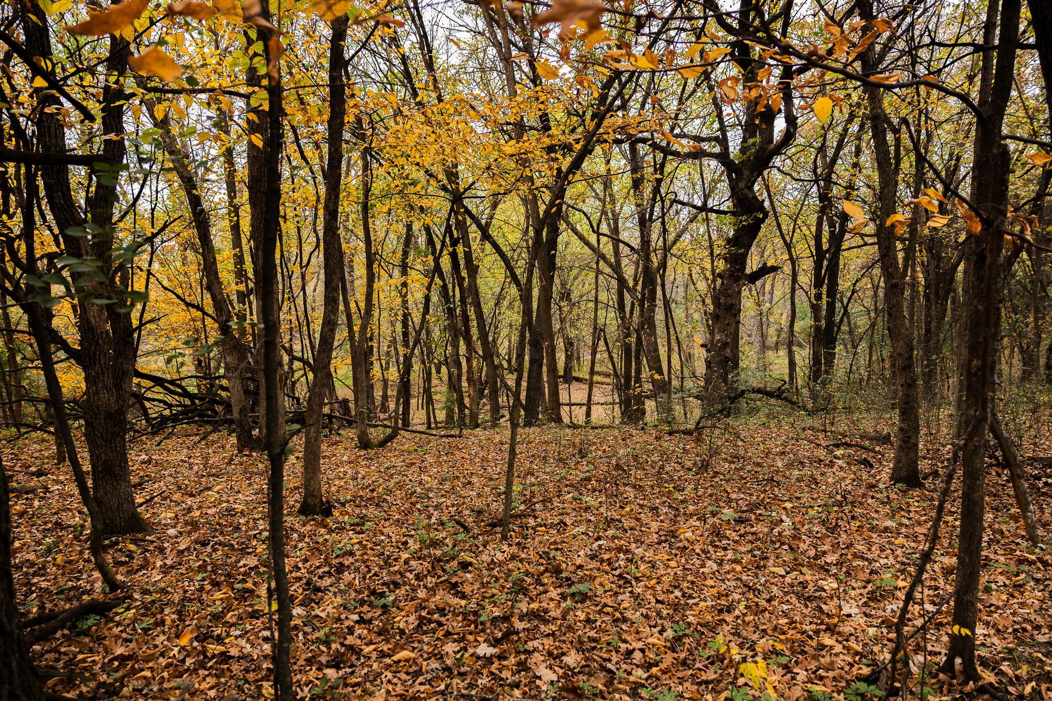 View of Land at TBD 47th St SE, Saint Cloud MN 56304, Saint Cloud (87 of 106) - Mike Wilen | Minnesota Team Real Estate