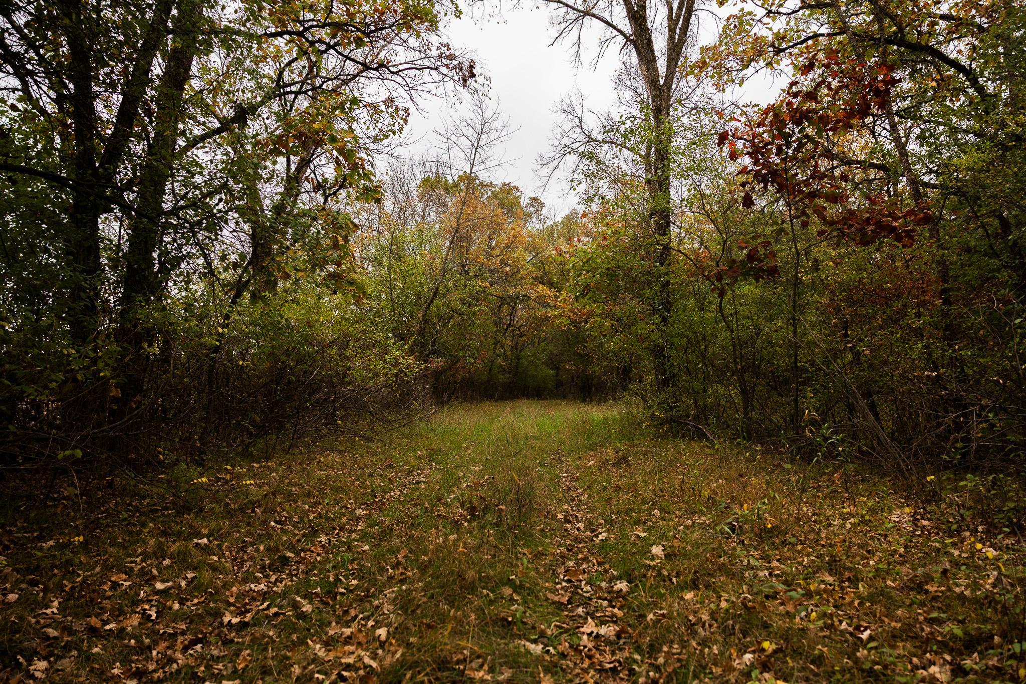 View of Land at TBD 47th St SE, Saint Cloud MN 56304, Saint Cloud (63 of 106) - Mike Wilen | Minnesota Team Real Estate