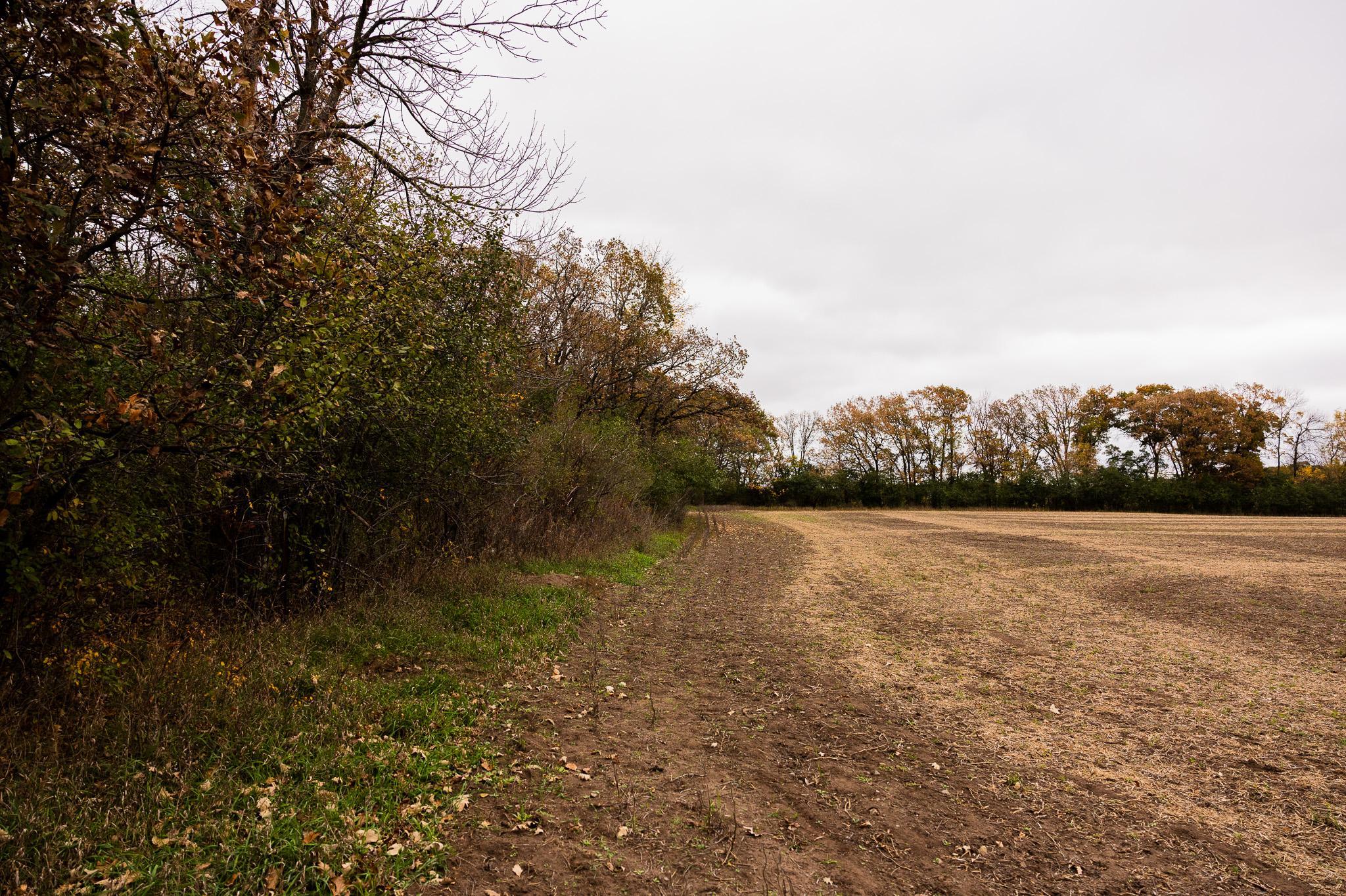 View of Land at TBD 47th St SE, Saint Cloud MN 56304, Saint Cloud (50 of 106) - Mike Wilen | Minnesota Team Real Estate