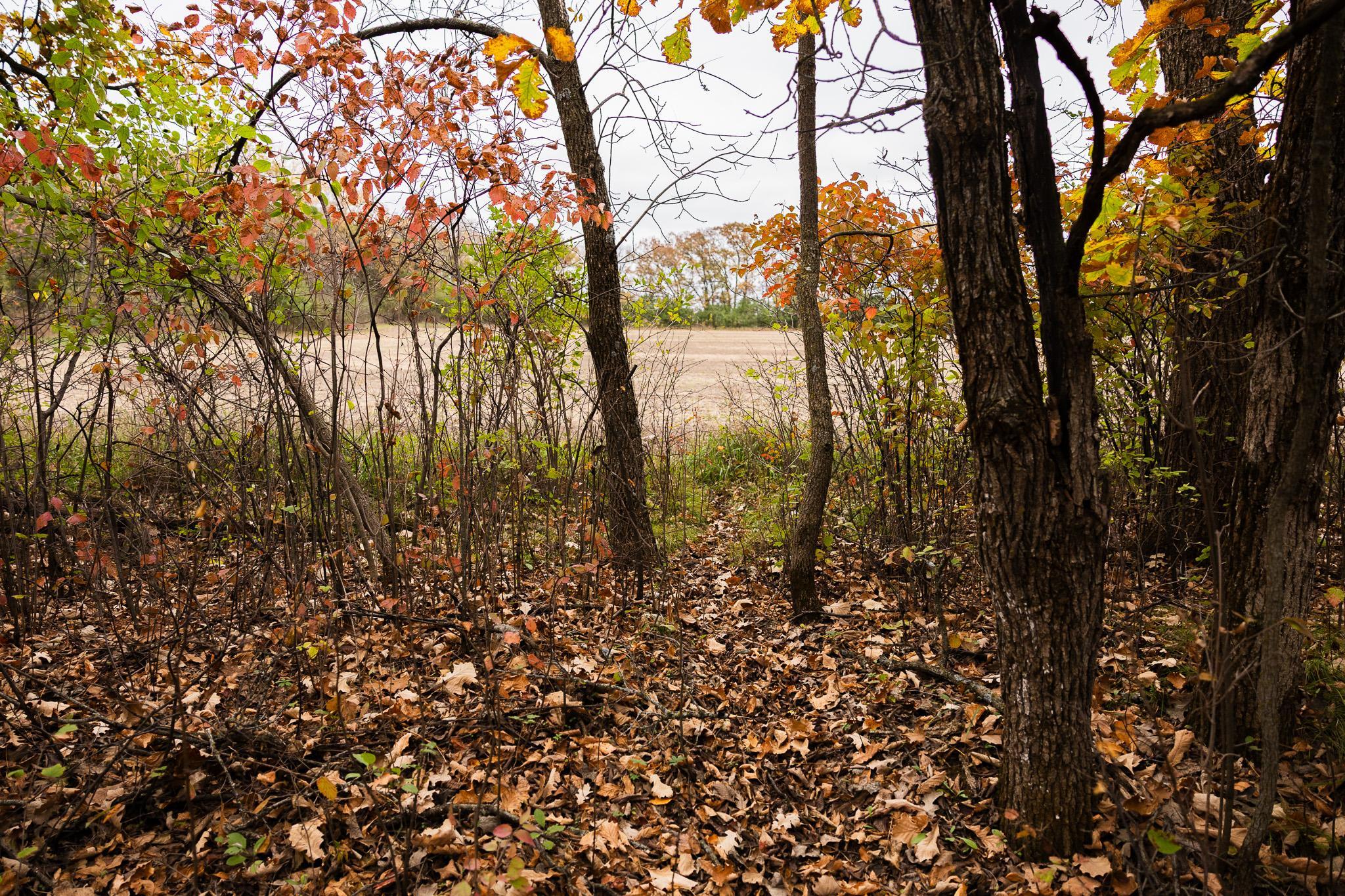 View of Land at TBD 47th St SE, Saint Cloud MN 56304, Saint Cloud (62 of 106) - Mike Wilen | Minnesota Team Real Estate