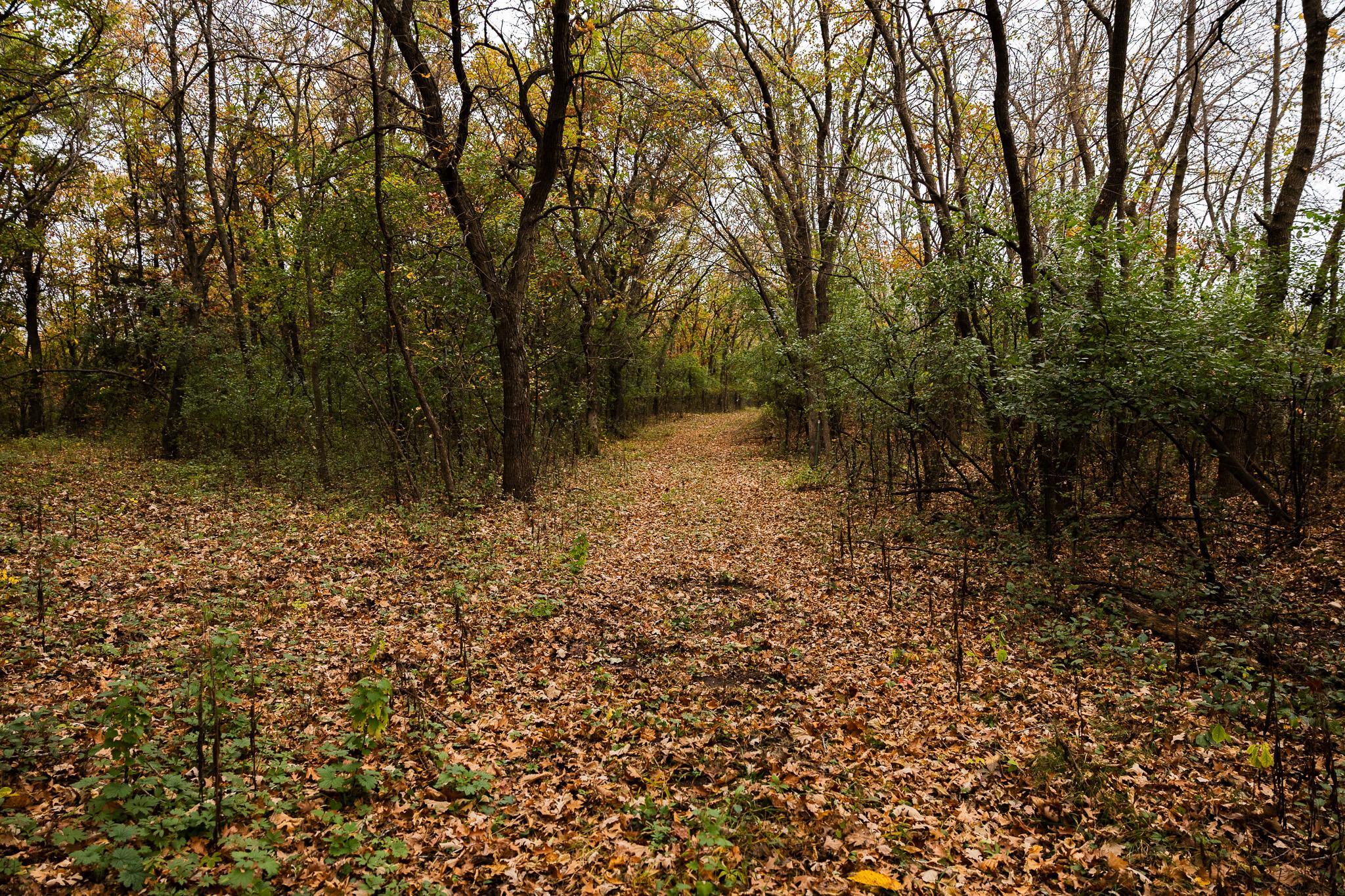 View of Land at TBD 47th St SE, Saint Cloud MN 56304, Saint Cloud (47 of 106) - Mike Wilen | Minnesota Team Real Estate