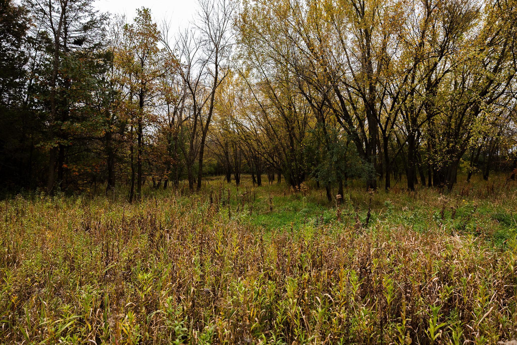 View of Land at TBD 47th St SE, Saint Cloud MN 56304, Saint Cloud (44 of 106) - Mike Wilen | Minnesota Team Real Estate