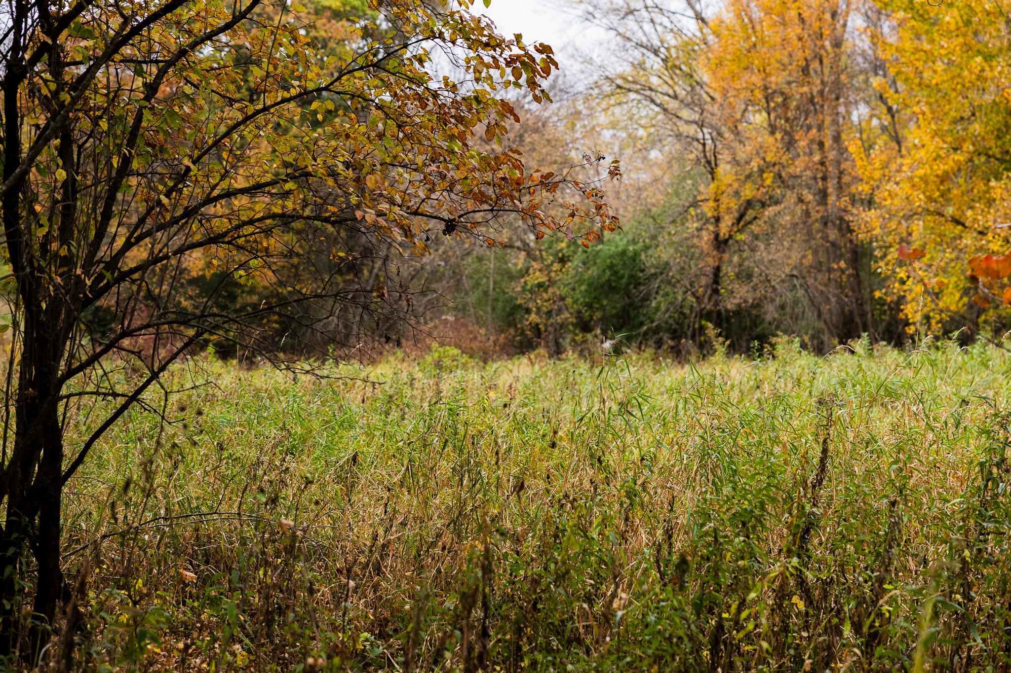 View of Land at TBD 47th St SE, Saint Cloud MN 56304, Saint Cloud (43 of 106) - Mike Wilen | Minnesota Team Real Estate