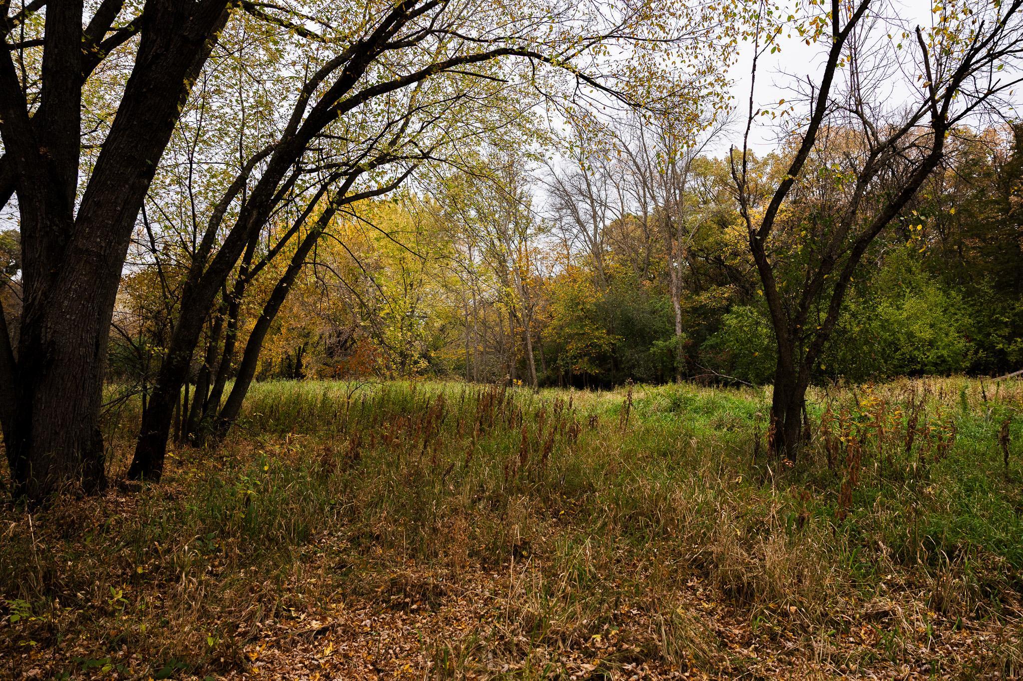 View of Land at TBD 47th St SE, Saint Cloud MN 56304, Saint Cloud (42 of 106) - Mike Wilen | Minnesota Team Real Estate