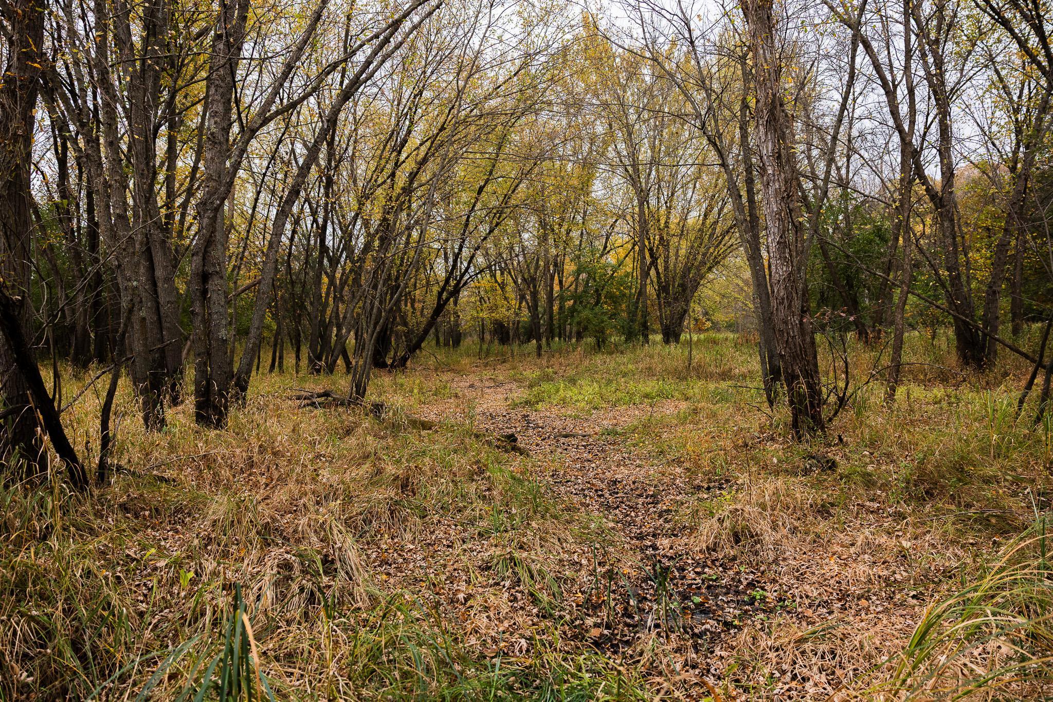 View of Land at TBD 47th St SE, Saint Cloud MN 56304, Saint Cloud (41 of 106) - Mike Wilen | Minnesota Team Real Estate