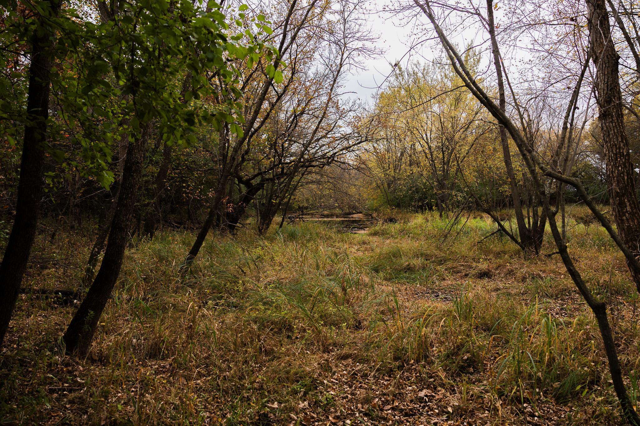 View of Land at TBD 47th St SE, Saint Cloud MN 56304, Saint Cloud (40 of 106) - Mike Wilen | Minnesota Team Real Estate