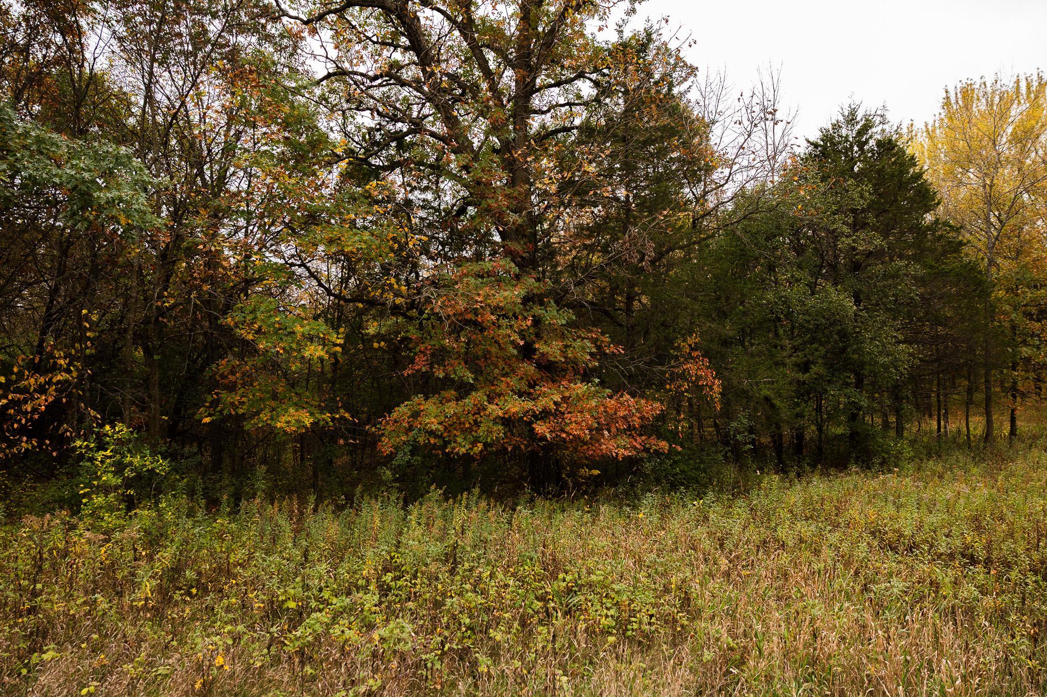 View of Land at TBD 47th St SE, Saint Cloud MN 56304, Saint Cloud (93 of 106) - Mike Wilen | Minnesota Team Real Estate