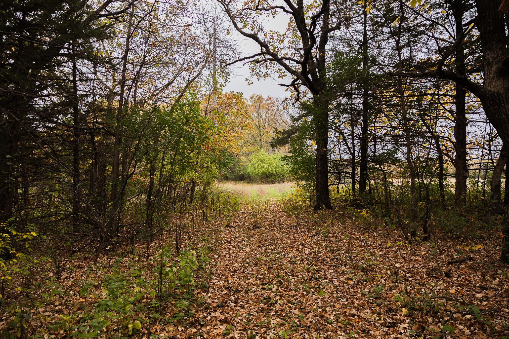 View of Land at TBD 47th St SE, Saint Cloud MN 56304, Saint Cloud (48 of 106) - Mike Wilen | Minnesota Team Real Estate