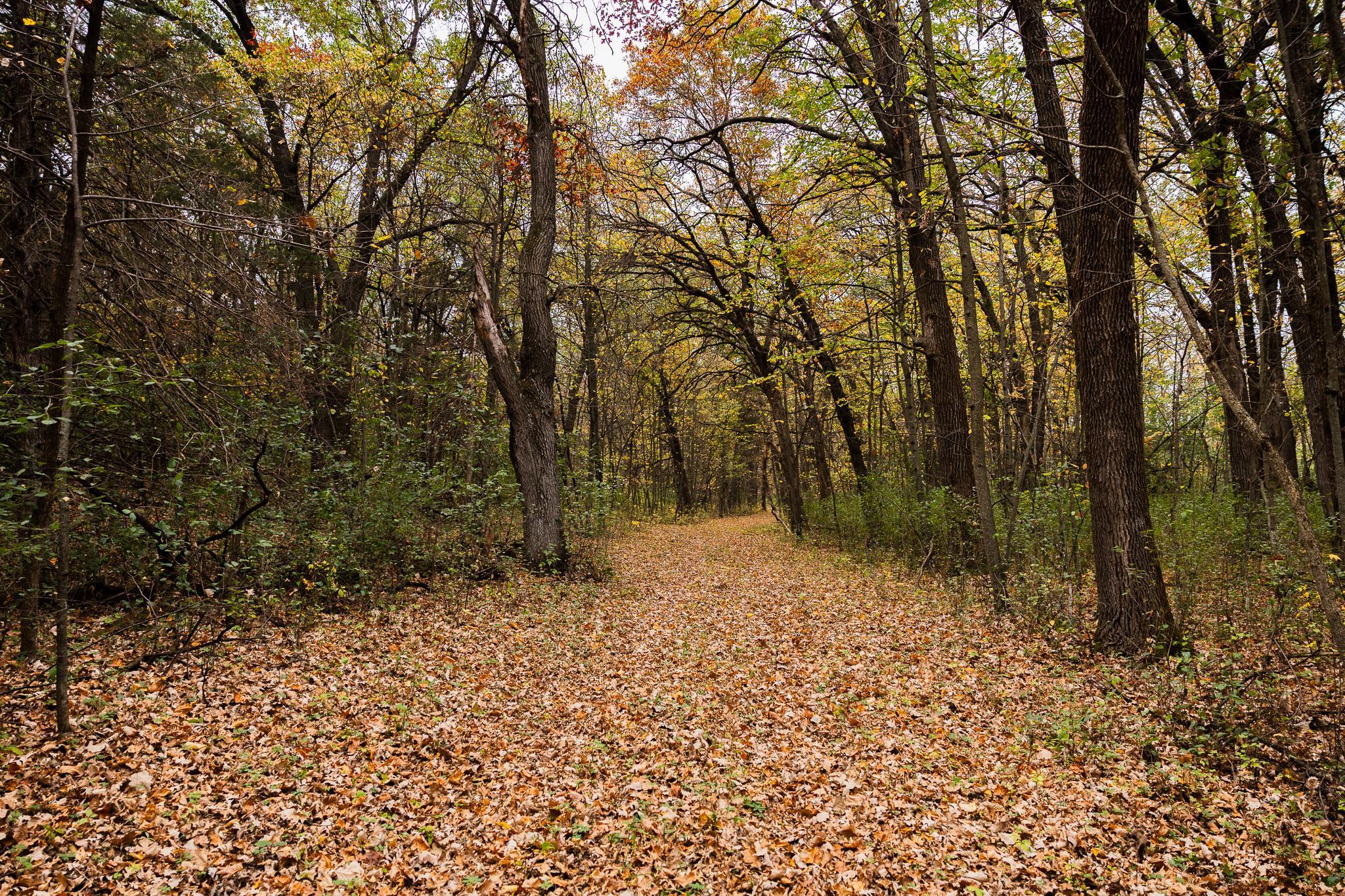View of Land at TBD 47th St SE, Saint Cloud MN 56304, Saint Cloud (84 of 106) - Mike Wilen | Minnesota Team Real Estate