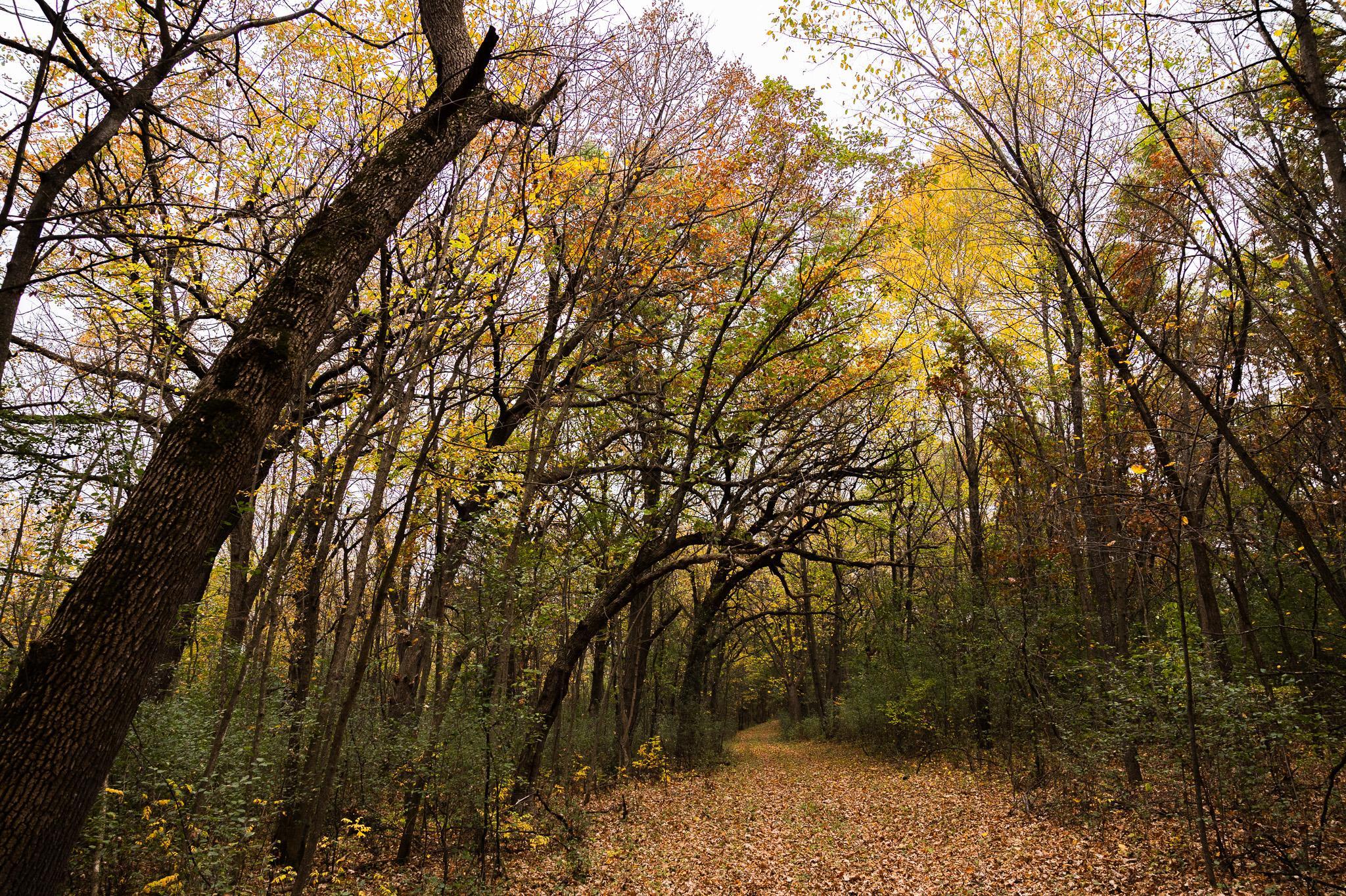 View of Land at TBD 47th St SE, Saint Cloud MN 56304, Saint Cloud (82 of 106) - Mike Wilen | Minnesota Team Real Estate