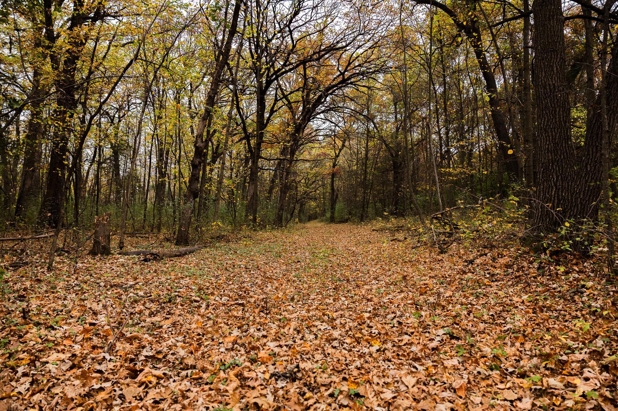 View of Land at TBD 47th St SE, Saint Cloud MN 56304, Saint Cloud (95 of 106) - Mike Wilen | Minnesota Team Real Estate