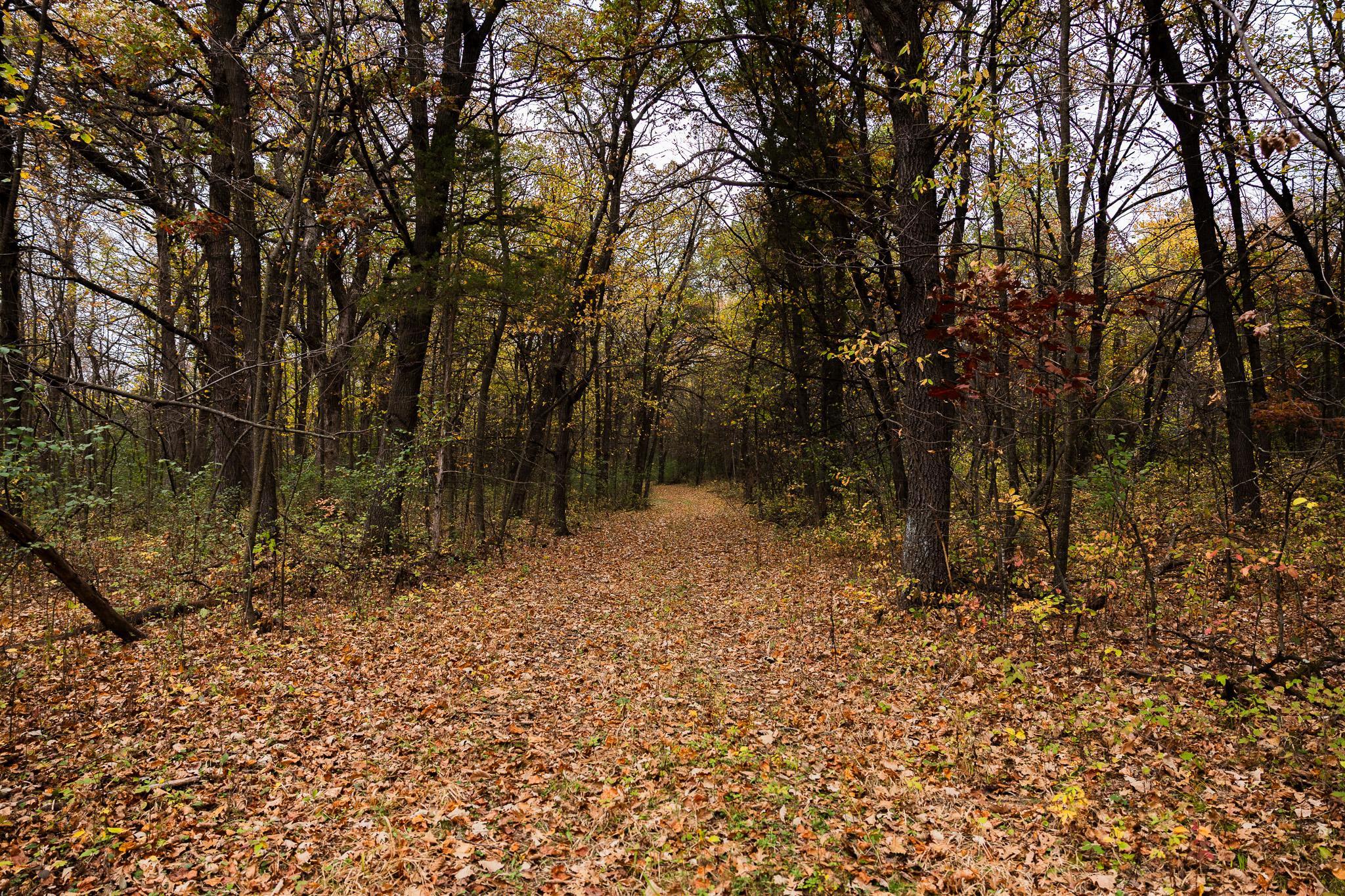 View of Land at TBD 47th St SE, Saint Cloud MN 56304, Saint Cloud (81 of 106) - Mike Wilen | Minnesota Team Real Estate
