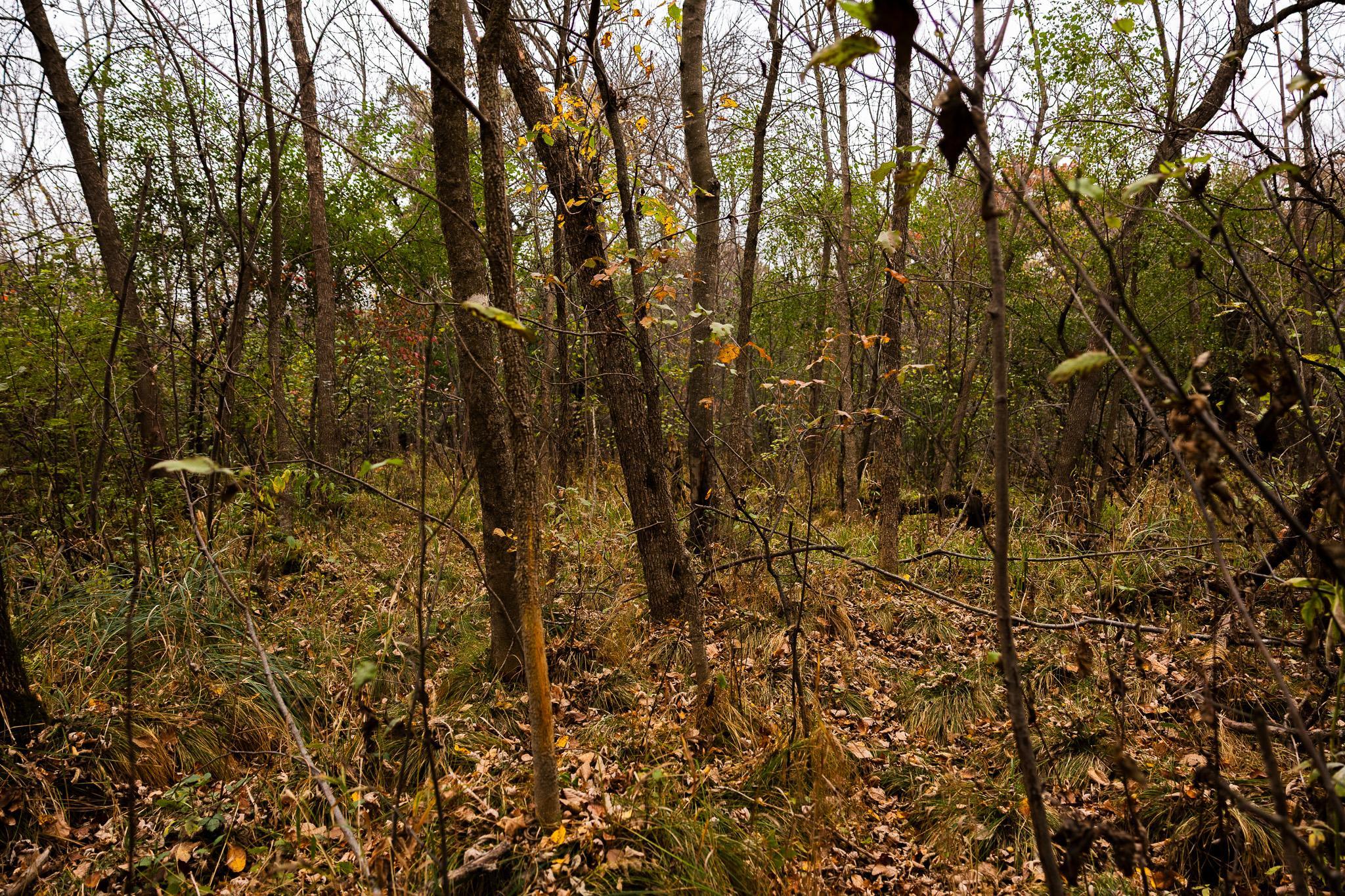 View of Land at TBD 47th St SE, Saint Cloud MN 56304, Saint Cloud (38 of 106) - Mike Wilen | Minnesota Team Real Estate