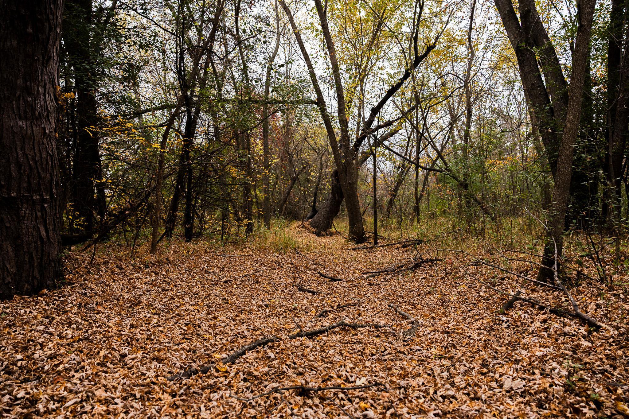 View of Land at TBD 47th St SE, Saint Cloud MN 56304, Saint Cloud (80 of 106) - Mike Wilen | Minnesota Team Real Estate