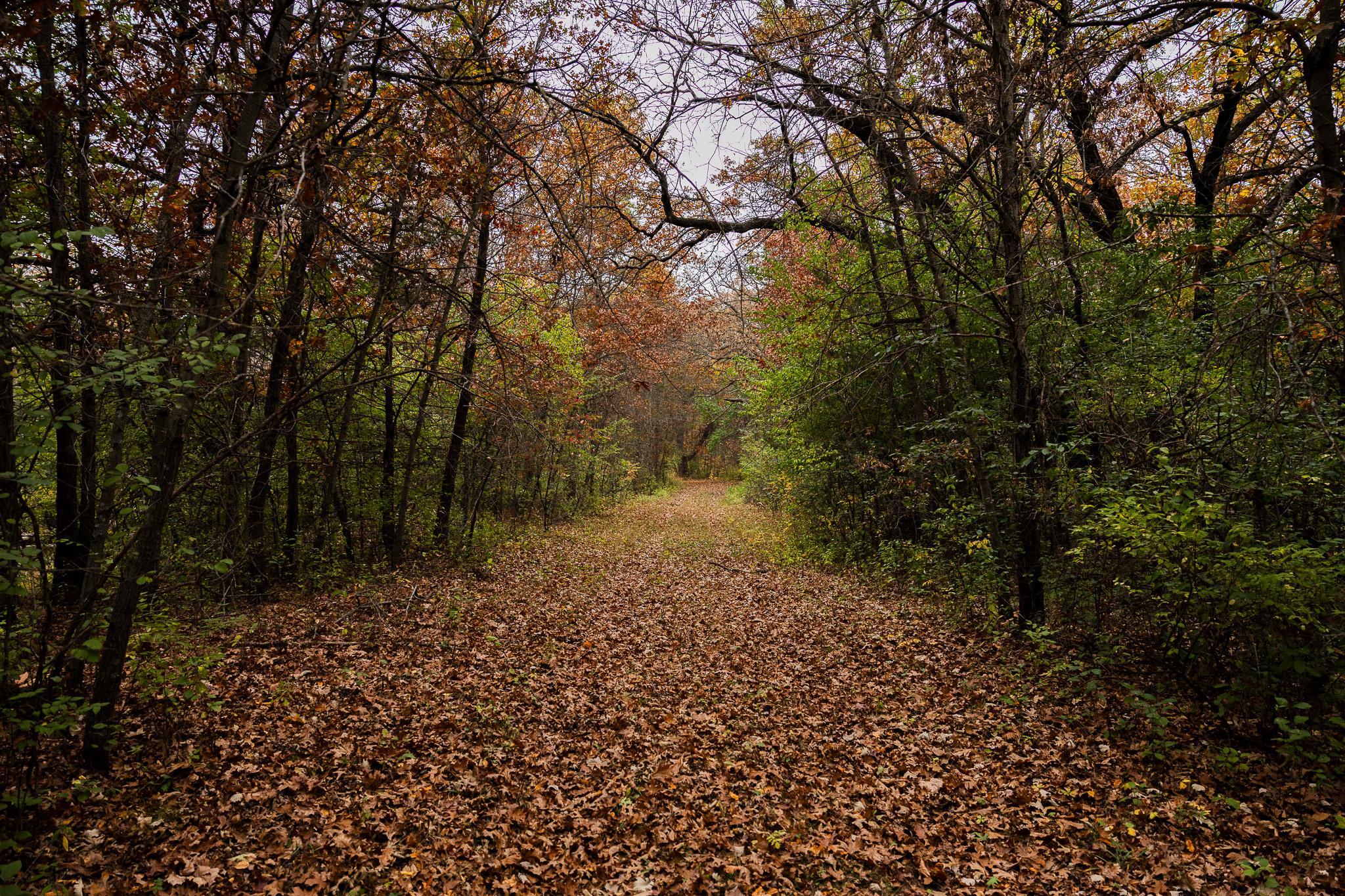 View of Land at TBD 47th St SE, Saint Cloud MN 56304, Saint Cloud (28 of 106) - Mike Wilen | Minnesota Team Real Estate