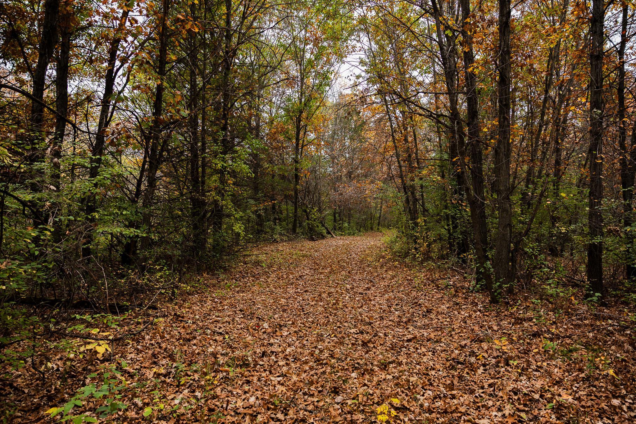 View of Land at TBD 47th St SE, Saint Cloud MN 56304, Saint Cloud (29 of 106) - Mike Wilen | Minnesota Team Real Estate