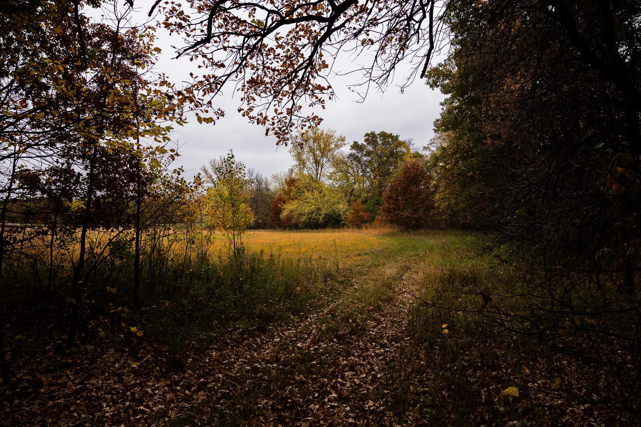 View of Land at TBD 47th St SE, Saint Cloud MN 56304, Saint Cloud (98 of 106) - Mike Wilen | Minnesota Team Real Estate