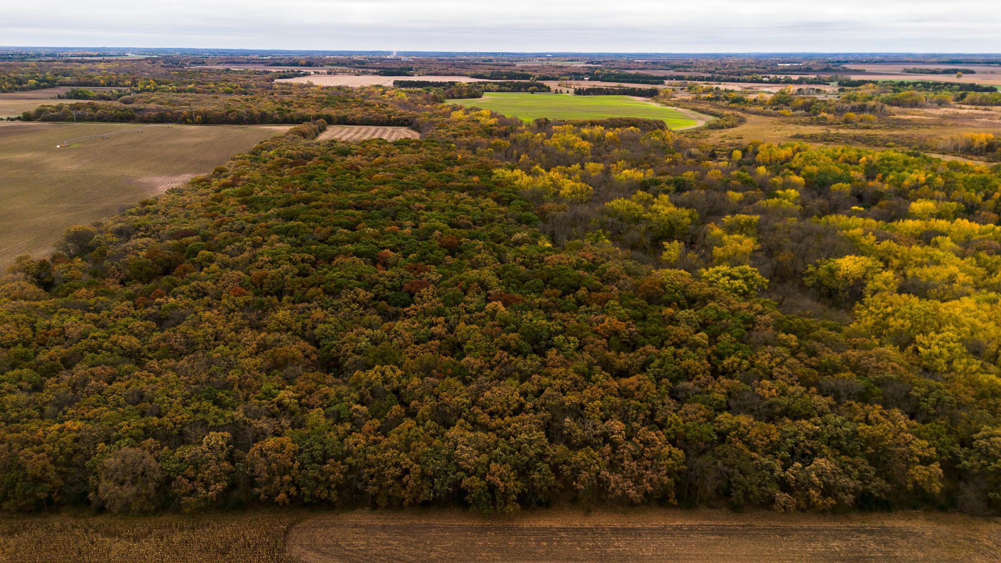View of Land at TBD 47th St SE, Saint Cloud MN 56304, Saint Cloud (9 of 106) - Mike Wilen | Minnesota Team Real Estate