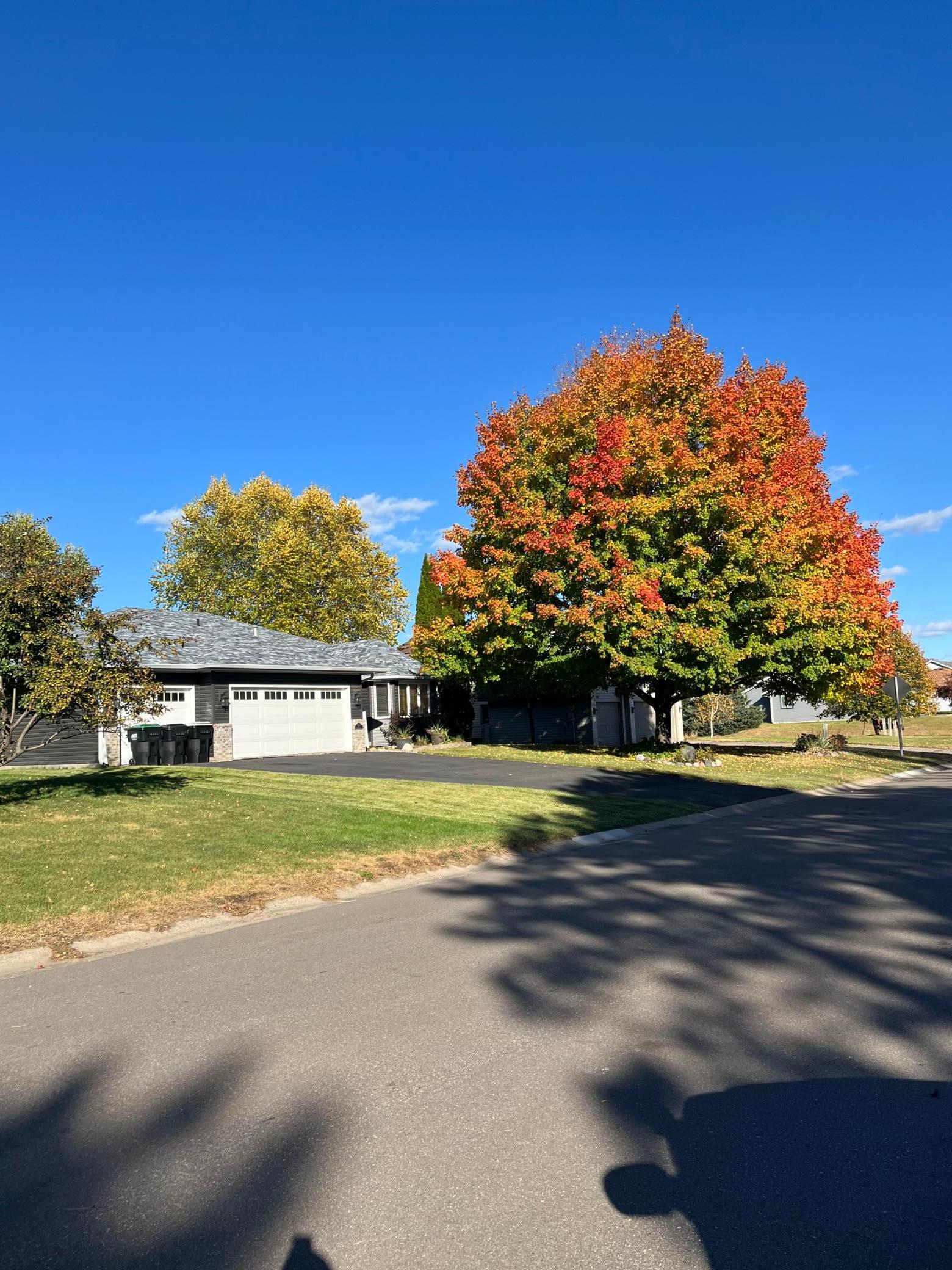View of Residential at 4153 146th Avenue, Andover MN 55304, Andover (43 of 43) - Mike Wilen | Minnesota Team Real Estate