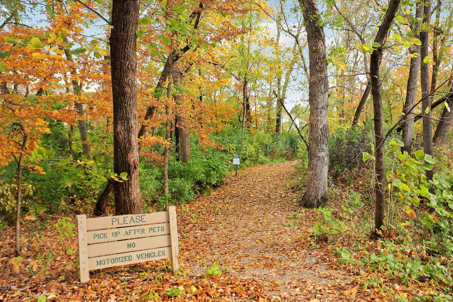 View of Residential at 1880 Black Oaks Lane, Plymouth MN 55447, Plymouth (34 of 42) - Mike Wilen | Minnesota Team Real Estate