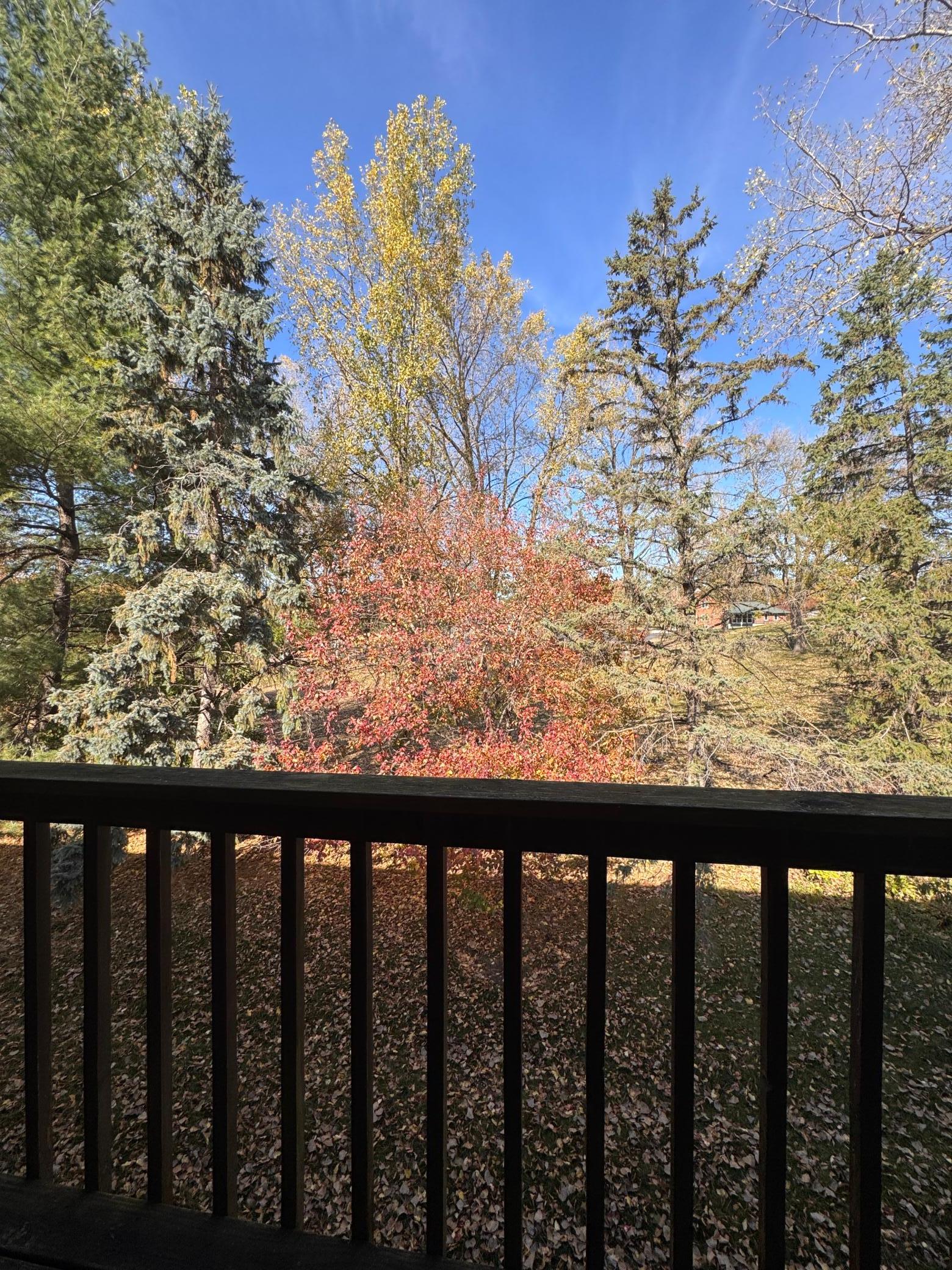 View of Residential at 2239 Pinehurst Street, Stillwater MN 55082, Stillwater (9 of 13) - Mike Wilen | Minnesota Team Real Estate