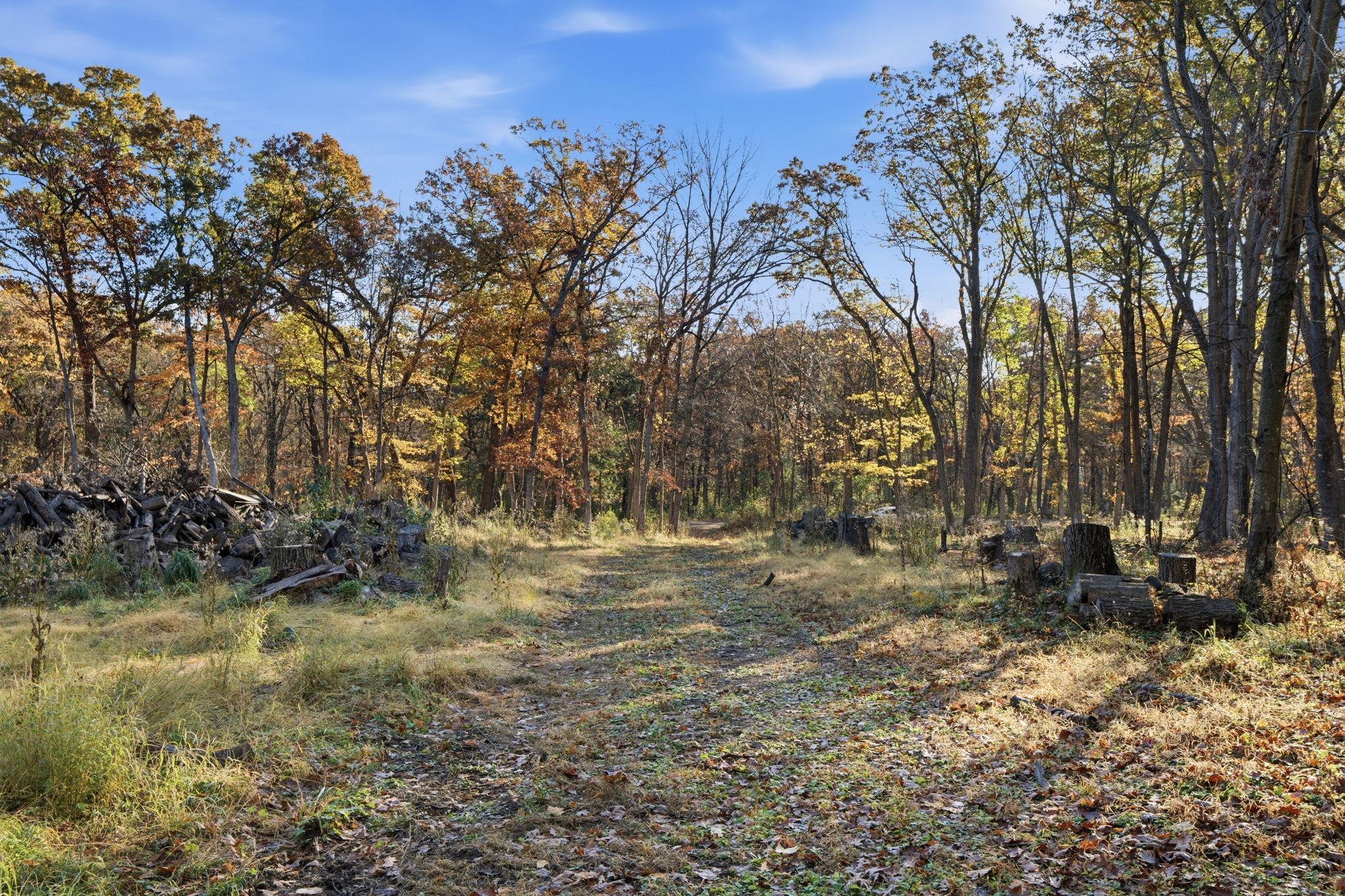 View of Land at 12216 Arcola Trail, Stillwater MN 55082, Stillwater (5 of 12) - Mike Wilen | Minnesota Team Real Estate