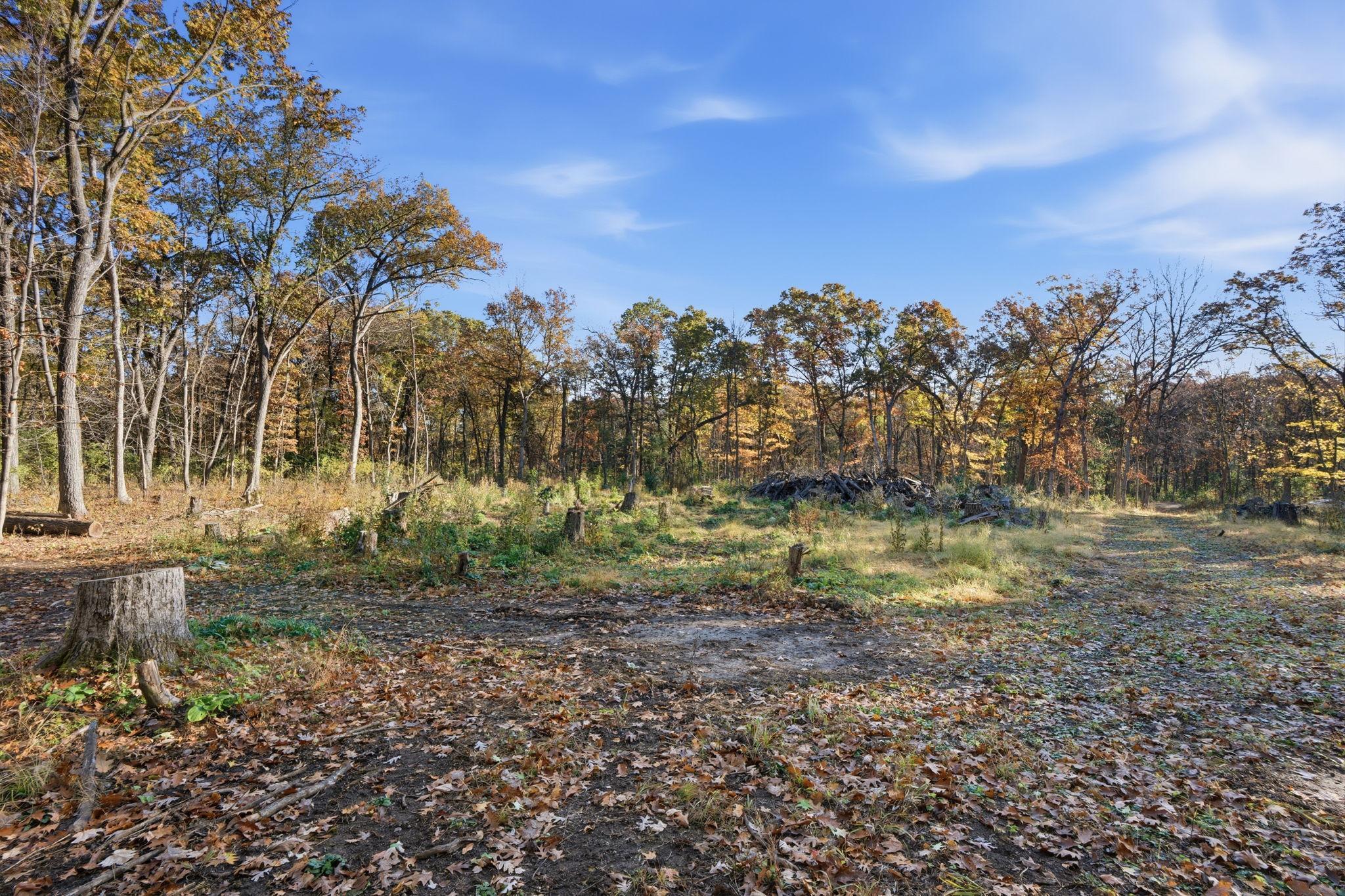View of Land at 12216 Arcola Trail, Stillwater MN 55082, Stillwater (6 of 12) - Mike Wilen | Minnesota Team Real Estate
