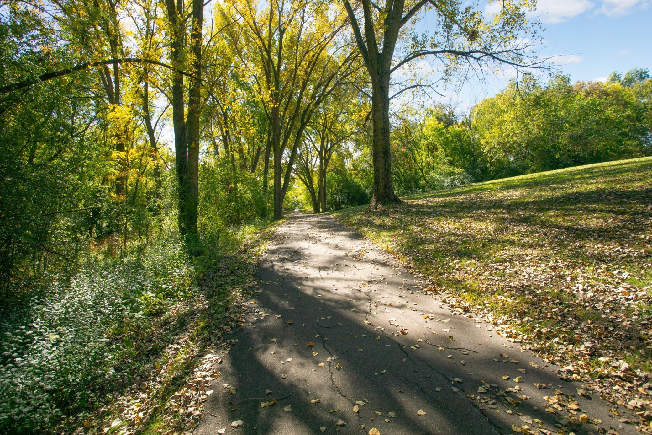 View of Residential at 6624 Edgemont Boulevard, Brooklyn Park MN 55428, Brooklyn Park (43 of 55) - Mike Wilen | Minnesota Team Real Estate