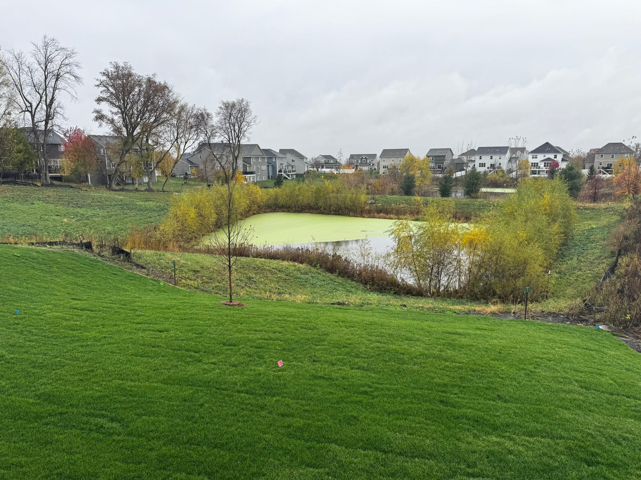 View of Residential at 1904 Dogwood Court, Carver MN 55315, Carver (4 of 28) - Mike Wilen | Minnesota Team Real Estate