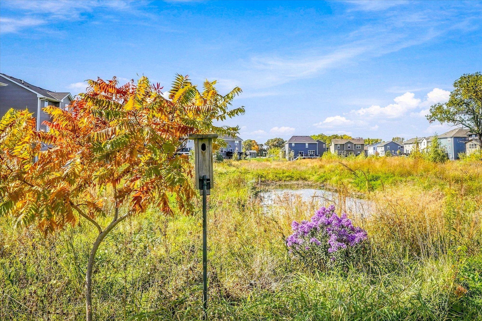 View of Residential at 12882 Isetta Court, Blaine MN 55449, Blaine (29 of 29) - Mike Wilen | Minnesota Team Real Estate