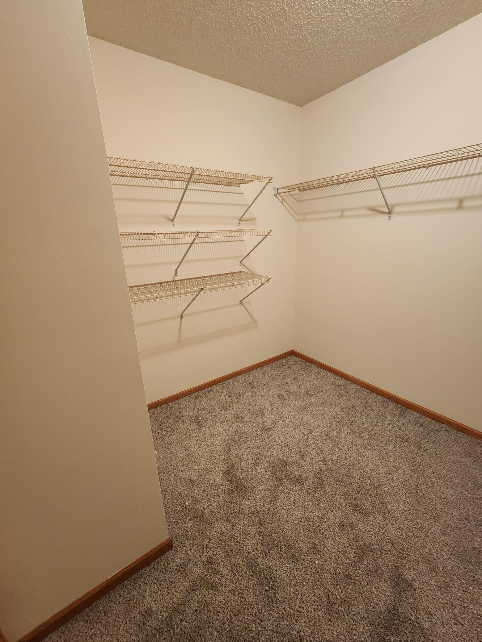 View of Residential at 14823 Olivine Street, Ramsey MN 55303, Ramsey (33 of 35) - Mike Wilen | Minnesota Team Real Estate
