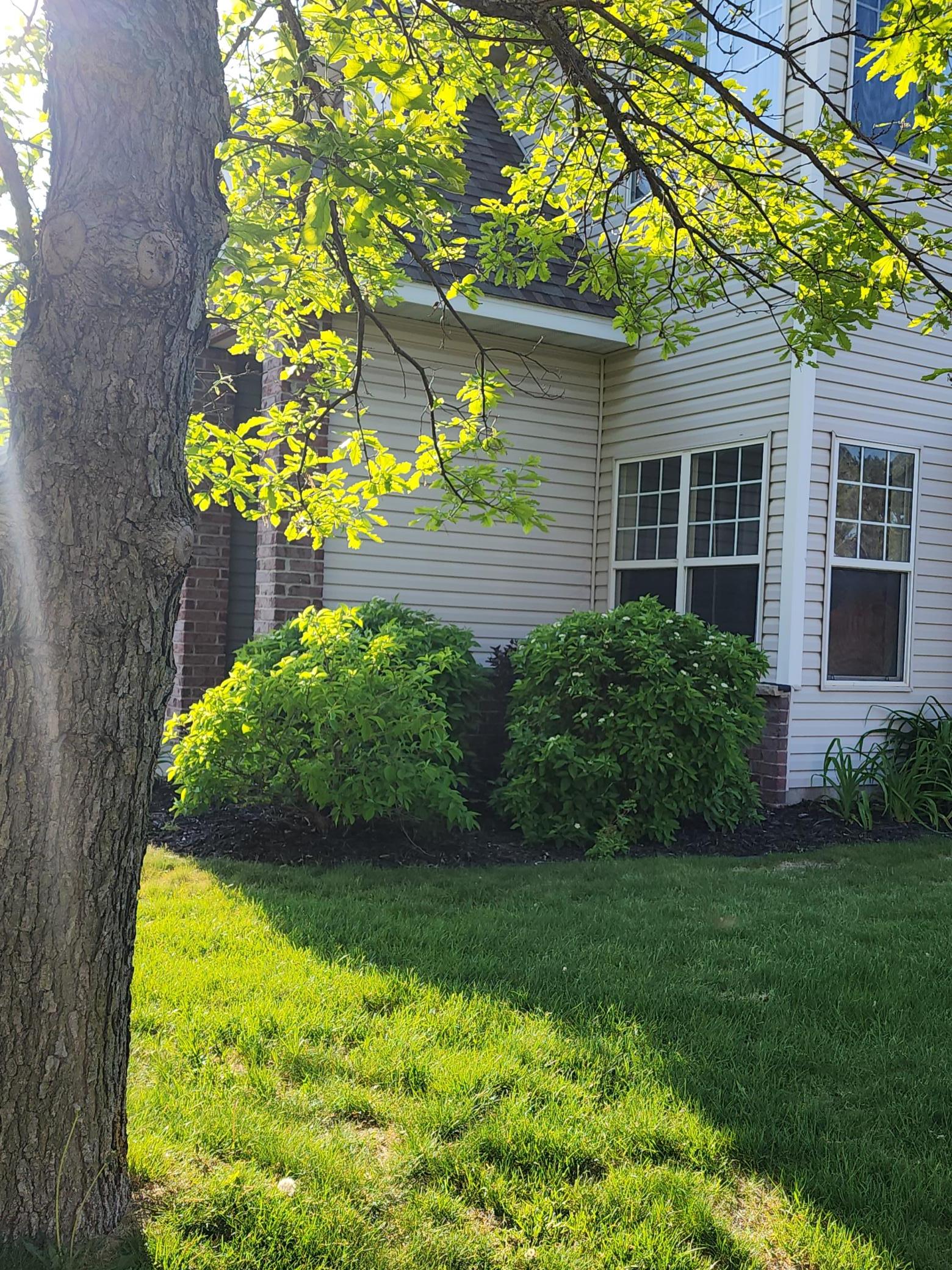 View of Residential at 14823 Olivine Street, Ramsey MN 55303, Ramsey (34 of 35) - Mike Wilen | Minnesota Team Real Estate