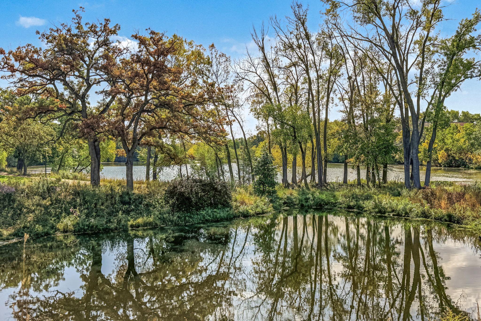 View of Residential at 410 Thompson Avenue, West Saint Paul MN 55118, West Saint Paul (47 of 50) - Mike Wilen | Minnesota Team Real Estate
