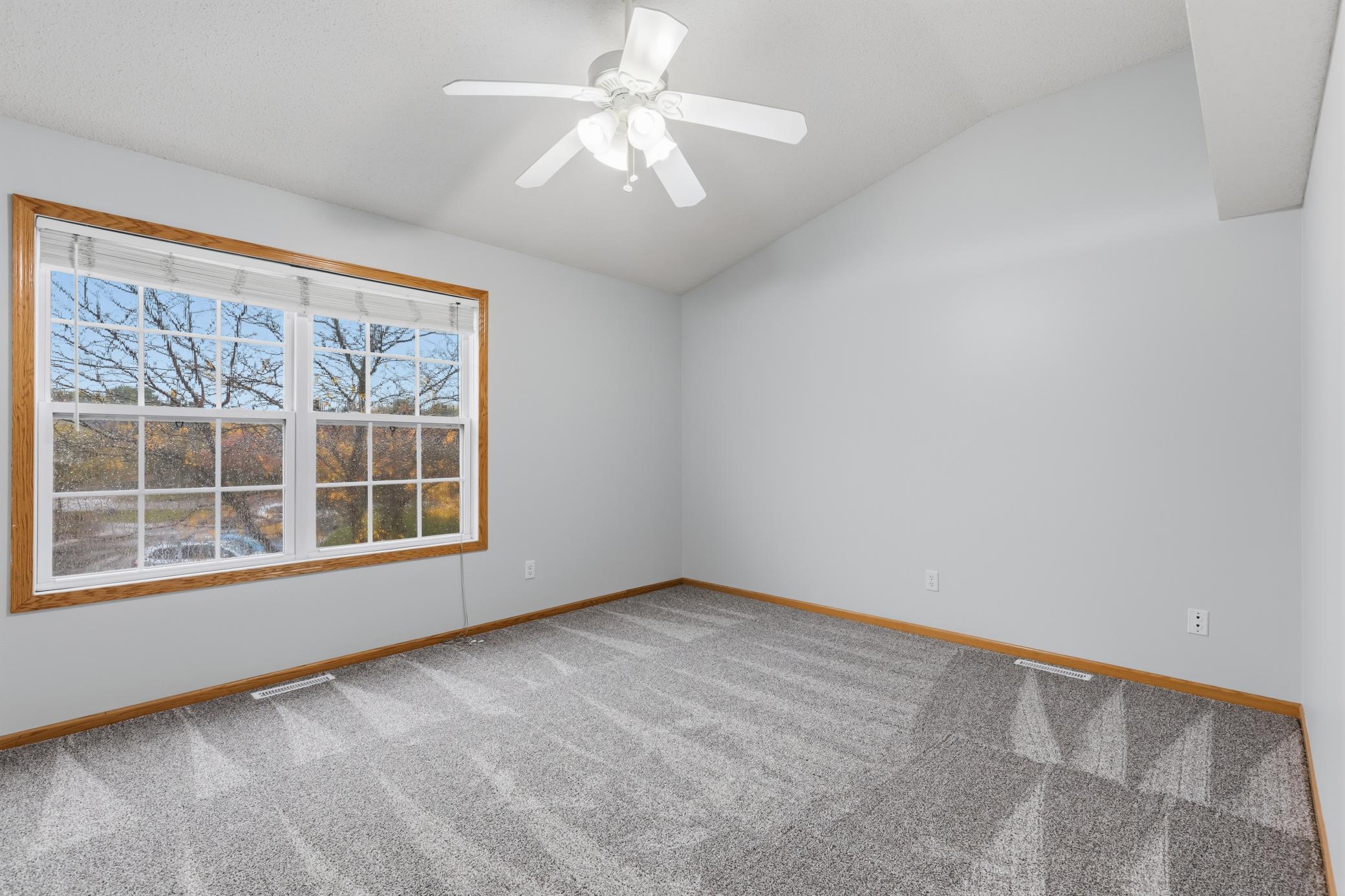 View of Residential at 14278 Banyan Lane, Rosemount MN 55068, Rosemount (19 of 30) - Mike Wilen | Minnesota Team Real Estate