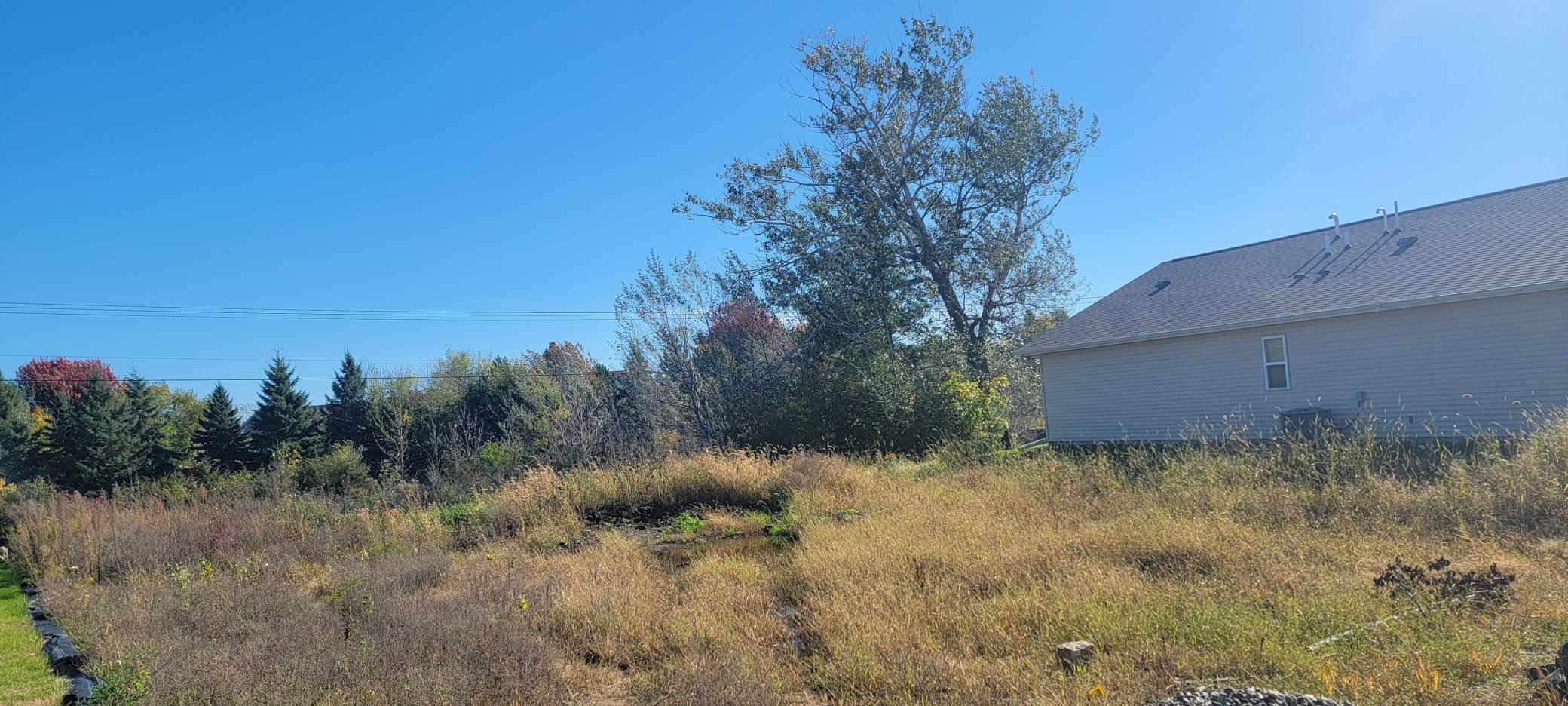 View of Residential Lot at 13290 Cadogan Way, Rosemount - Mike Wilen | Minnesota Team Real Estate
