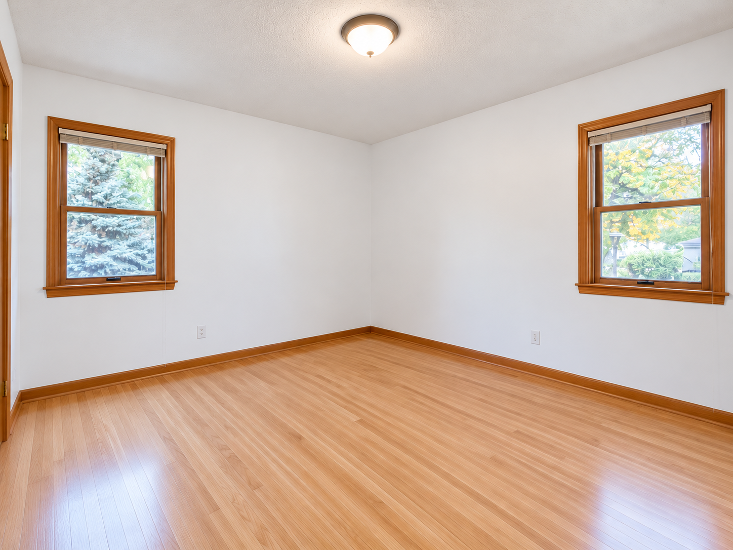 View of Residential at 21 Farrell Street, Maplewood MN 55119, Maplewood (8 of 16) - Mike Wilen | Minnesota Team Real Estate