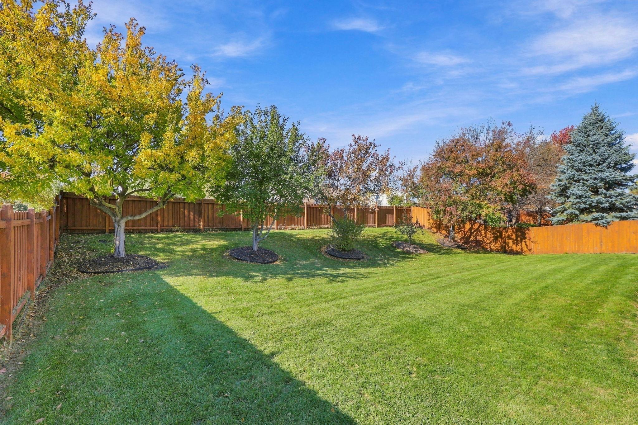 View of Residential at 9915 Chestnut Avenue, Brooklyn Park MN 55443, Brooklyn Park (58 of 64) - Mike Wilen | Minnesota Team Real Estate