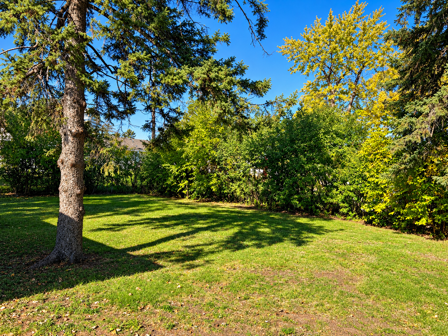View of Residential at 8212 Emerson Avenue, Bloomington MN 55420, Bloomington (13 of 13) - Mike Wilen | Minnesota Team Real Estate