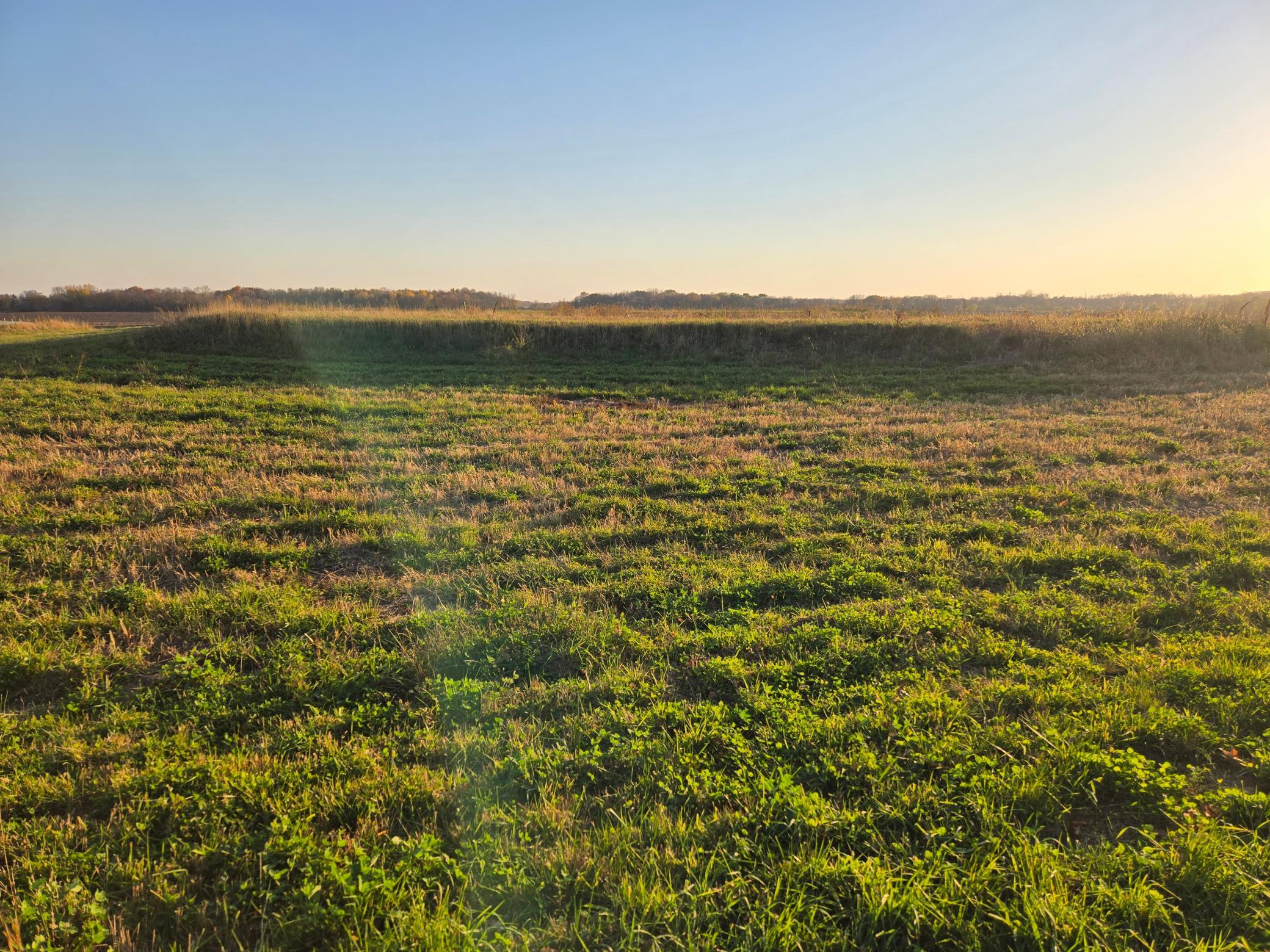 View of Residential Lot at 403 Mcalpine Court, Maple Lake - Mike Wilen | Minnesota Team Real Estate
